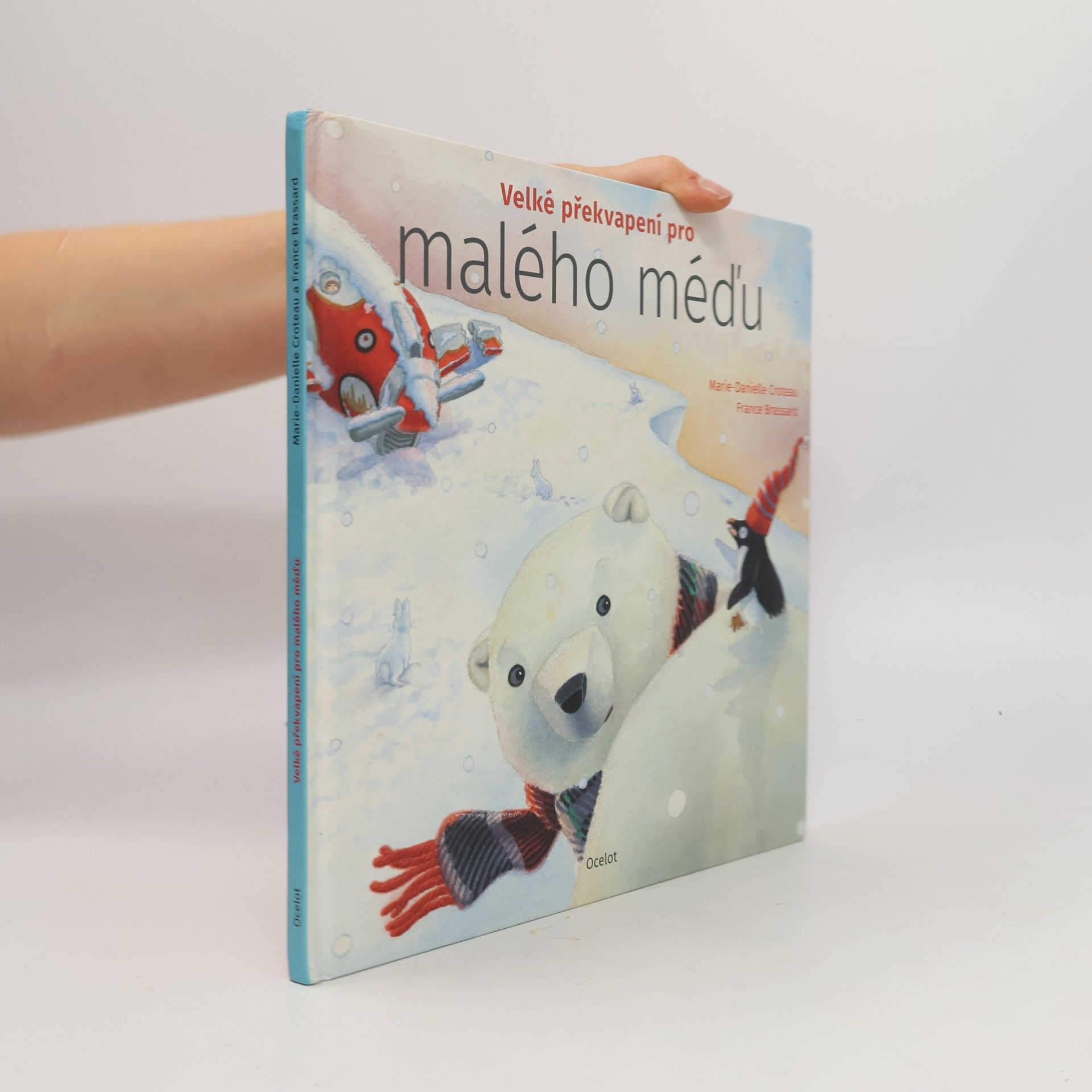 MarieDanielle Croteau Velké překvapení pro malého méďu