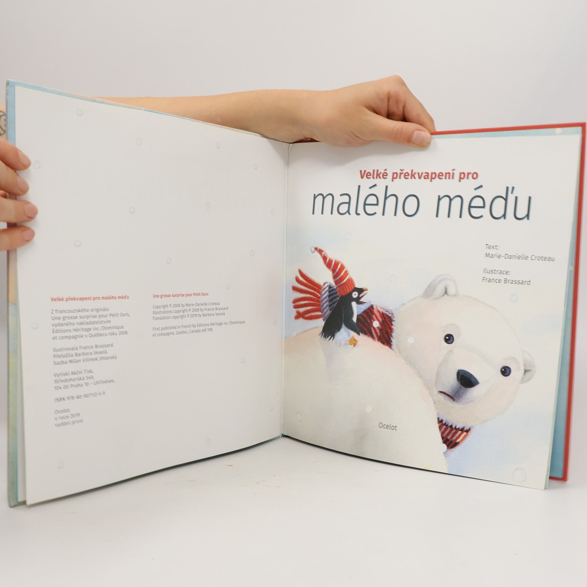 MarieDanielle Croteau Velké překvapení pro malého méďu