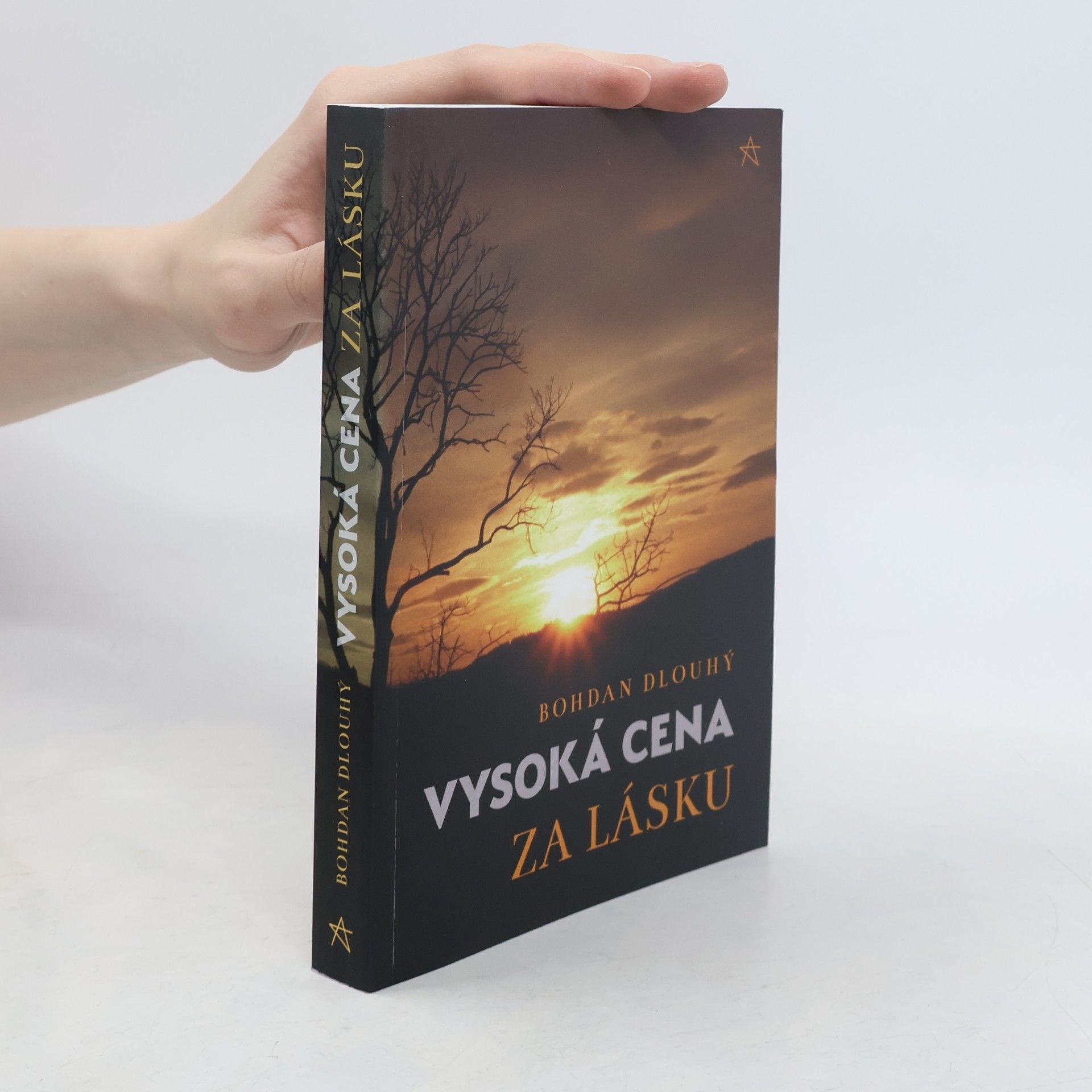 Bohdan Dlouhý Vysoká cena za lásku