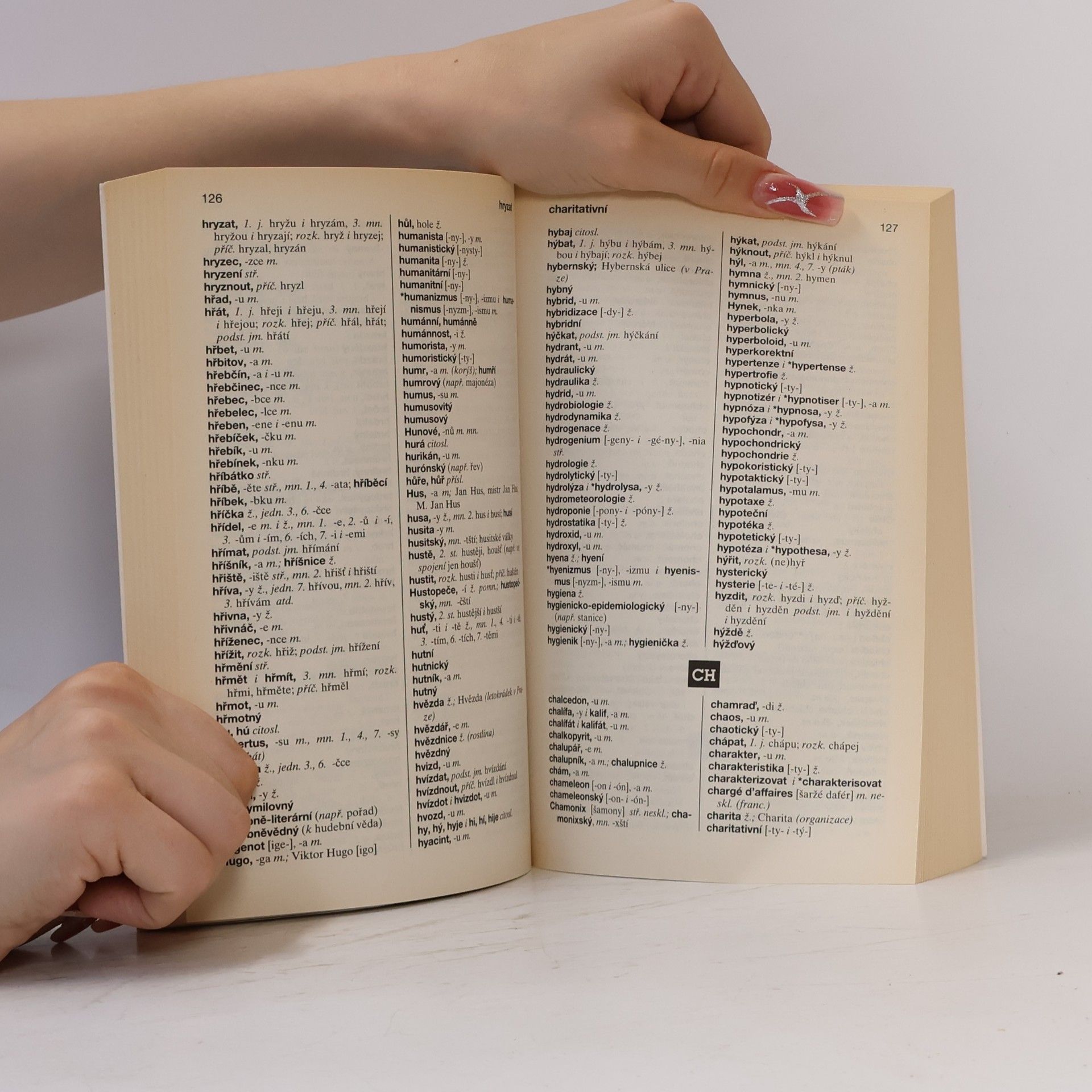 Autorenkollektiv Pravidla českého pravopisu
