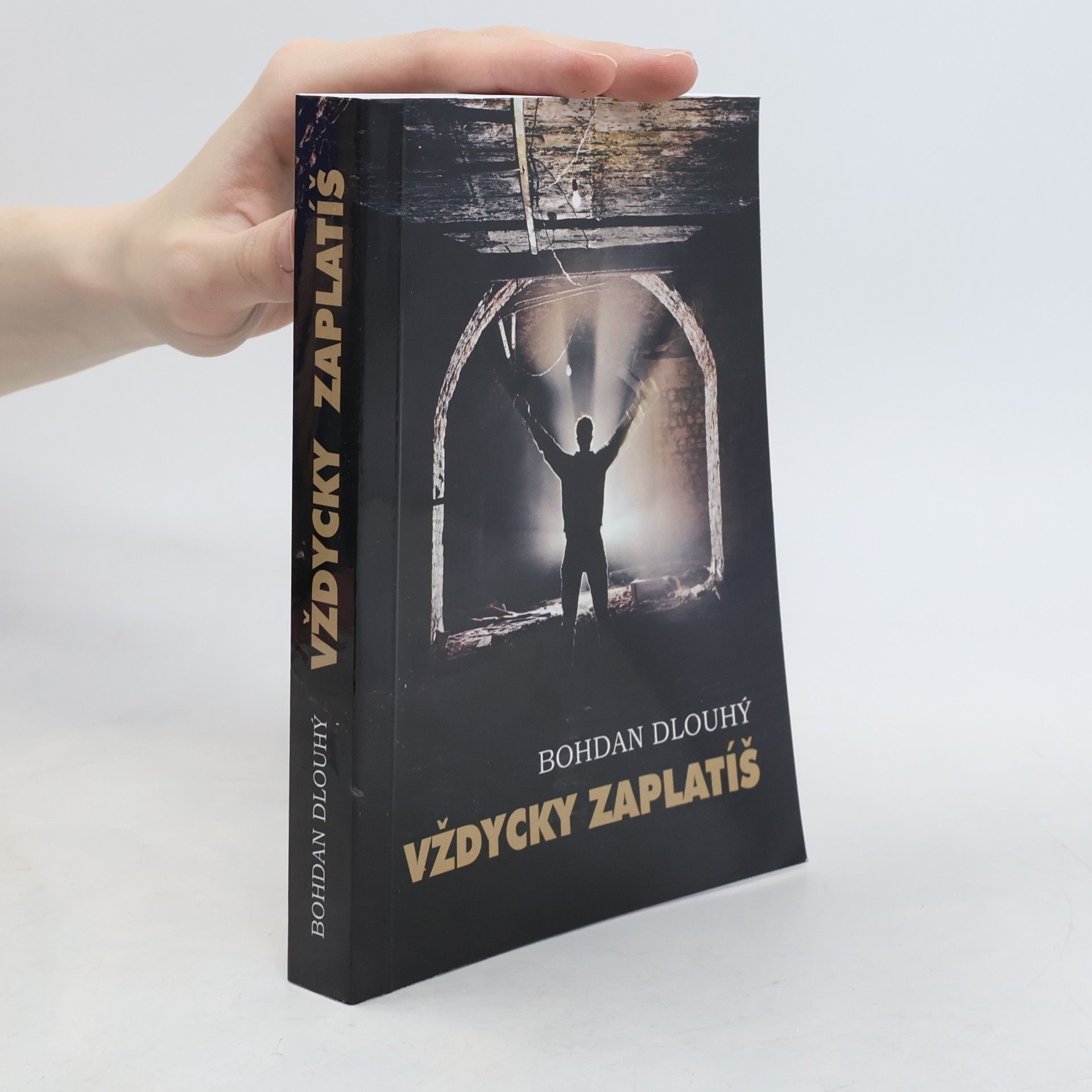 Bohdan Dlouhý Vždycky zaplatíš