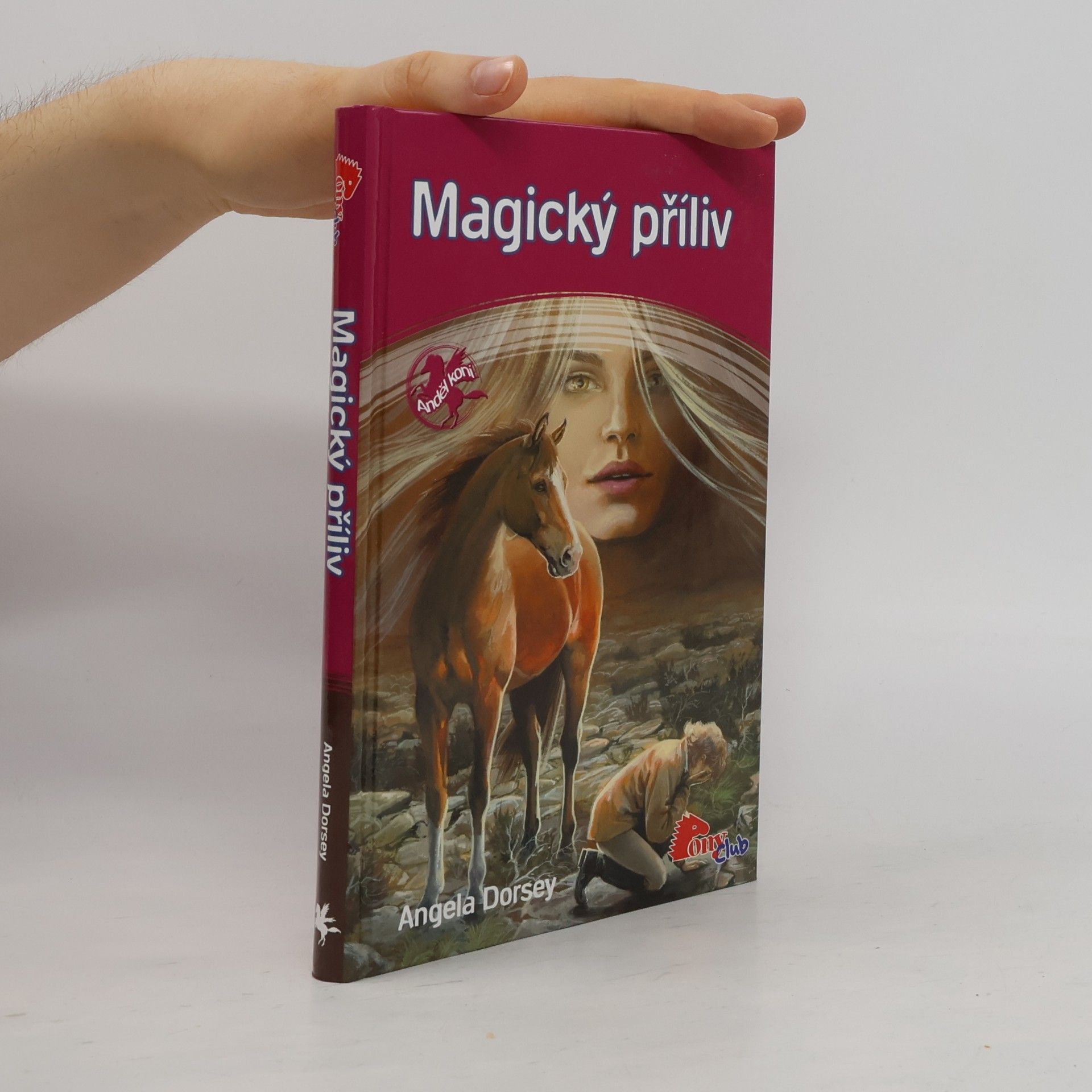 Angela Dorsey Magický příliv