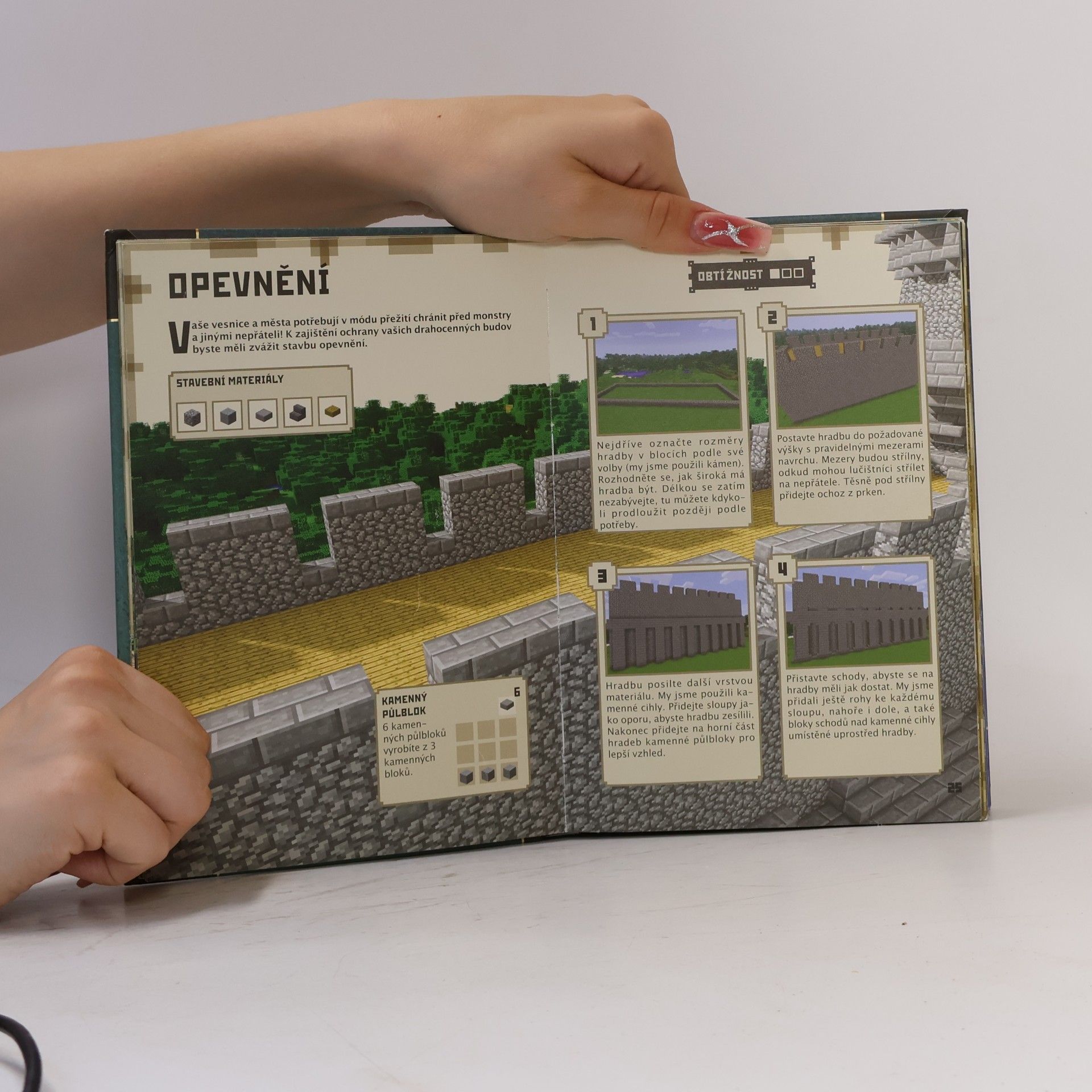 Matyáš Theodor Frydrych Minecraft: Stavitelská příručka