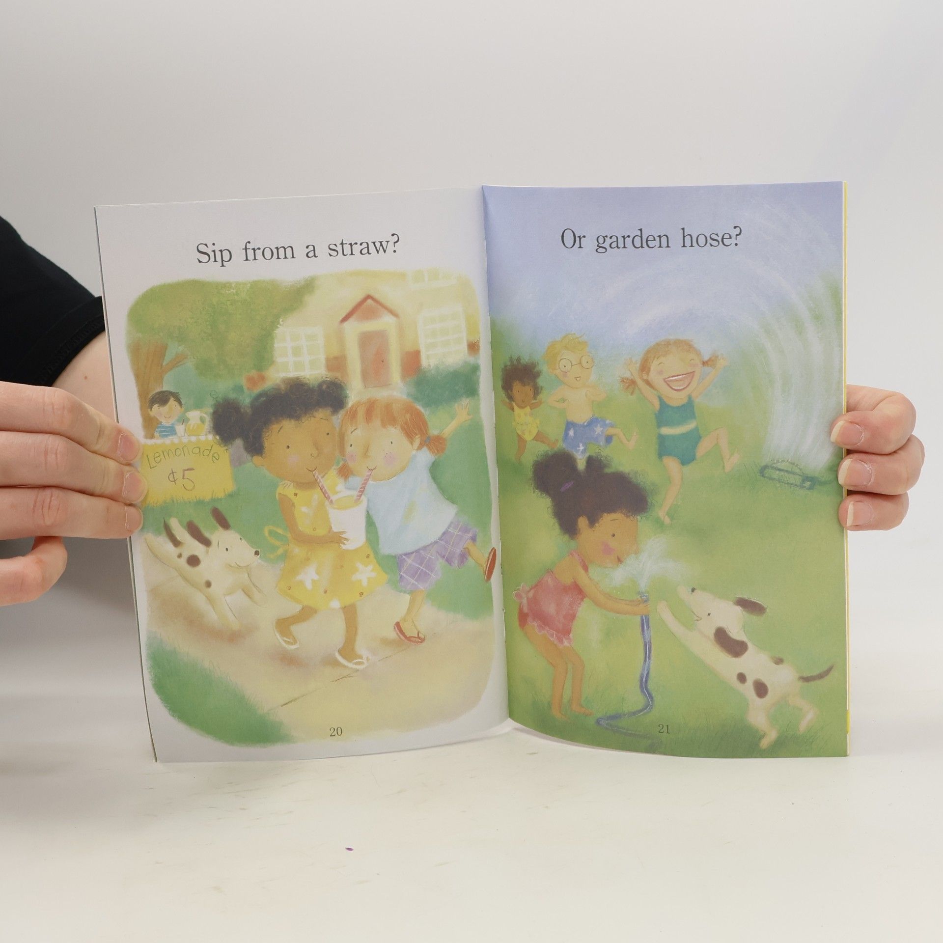 DANA MEACHEN RAU Step Into Reading - 1: Flip Flop!
