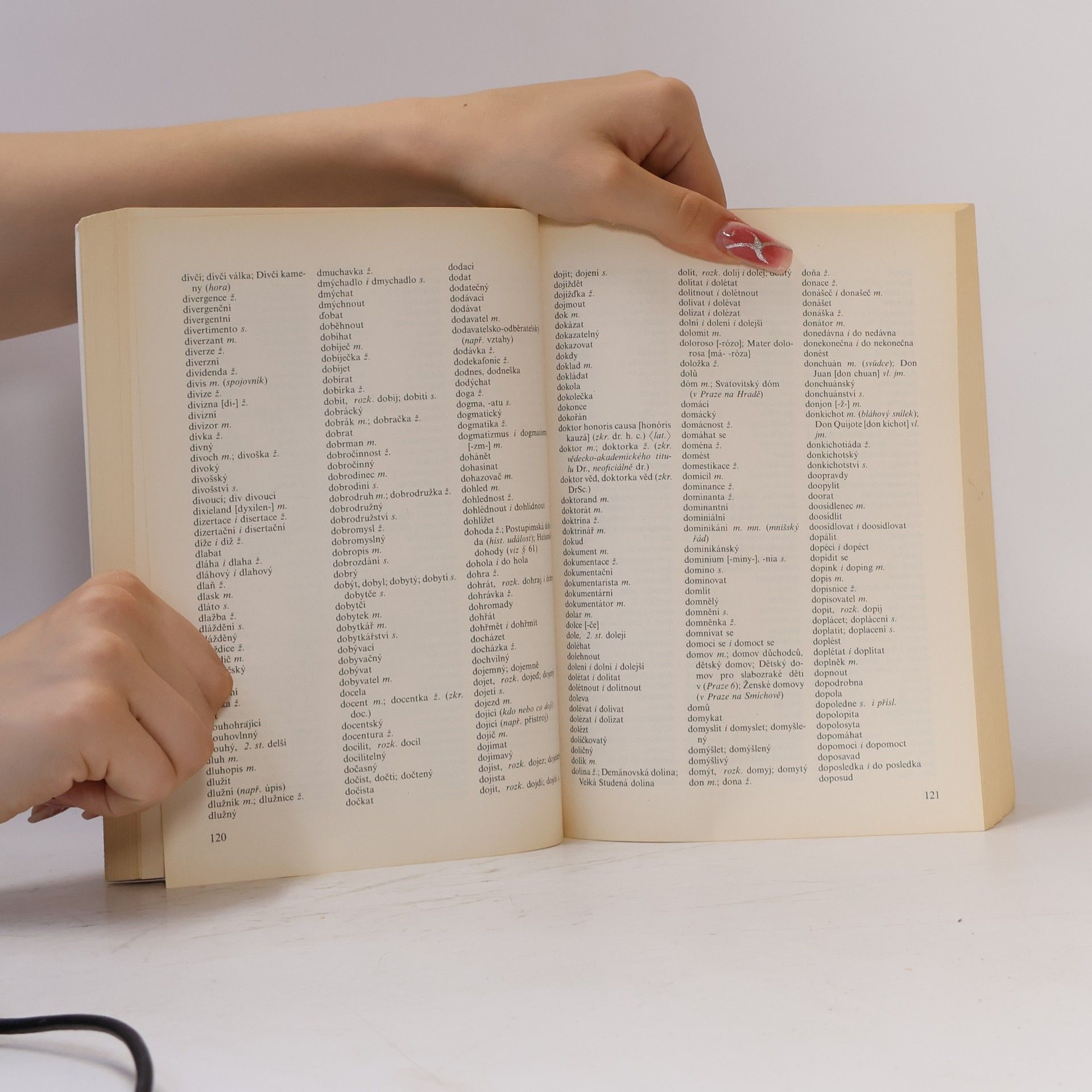 Collectif d'auteurs Pravidla českého pravopisu