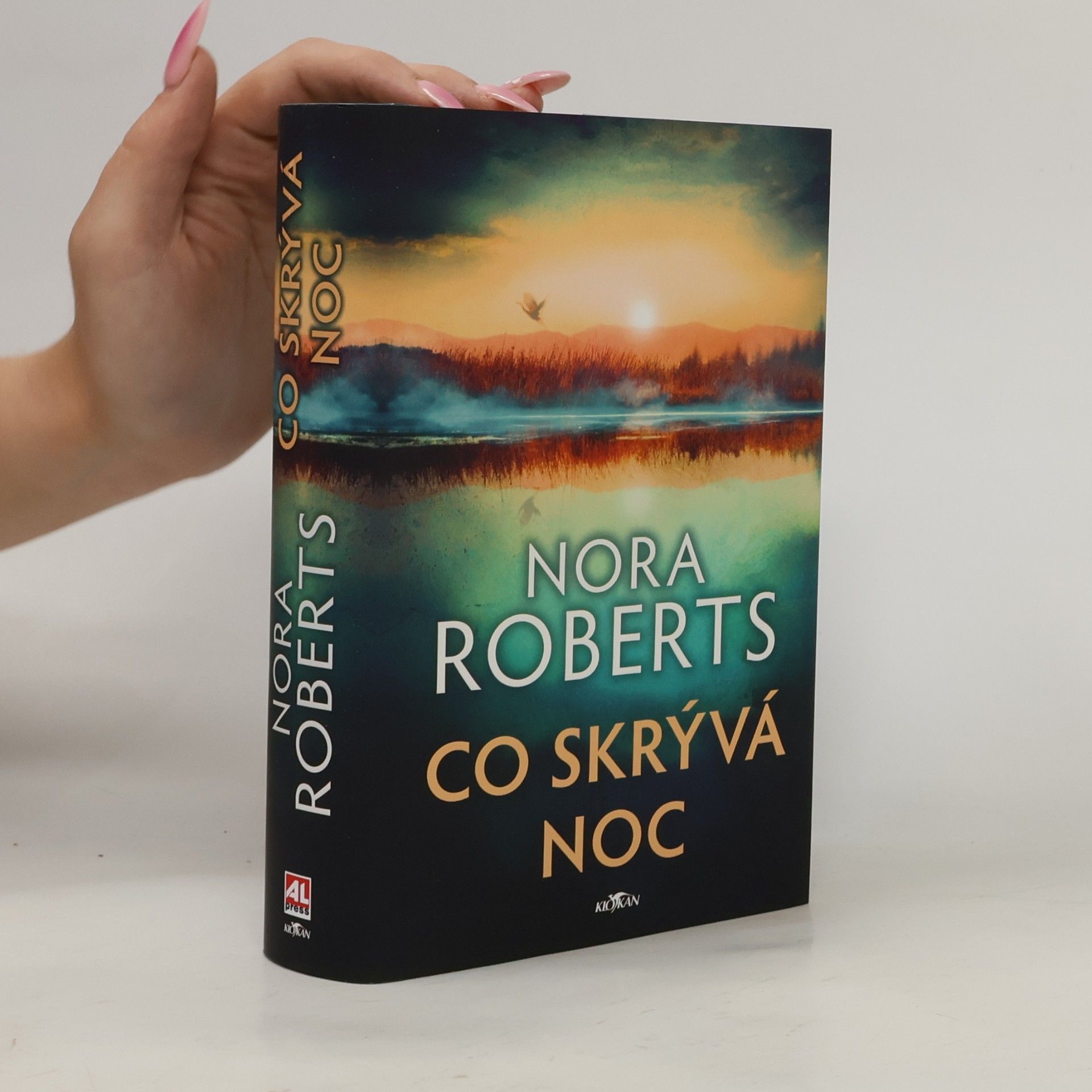 Nora Roberts Co skrývá noc