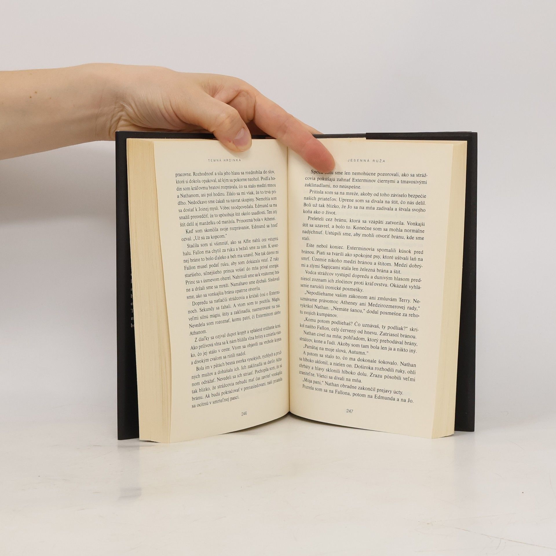 Abigail Gibbs Jesenná ruža