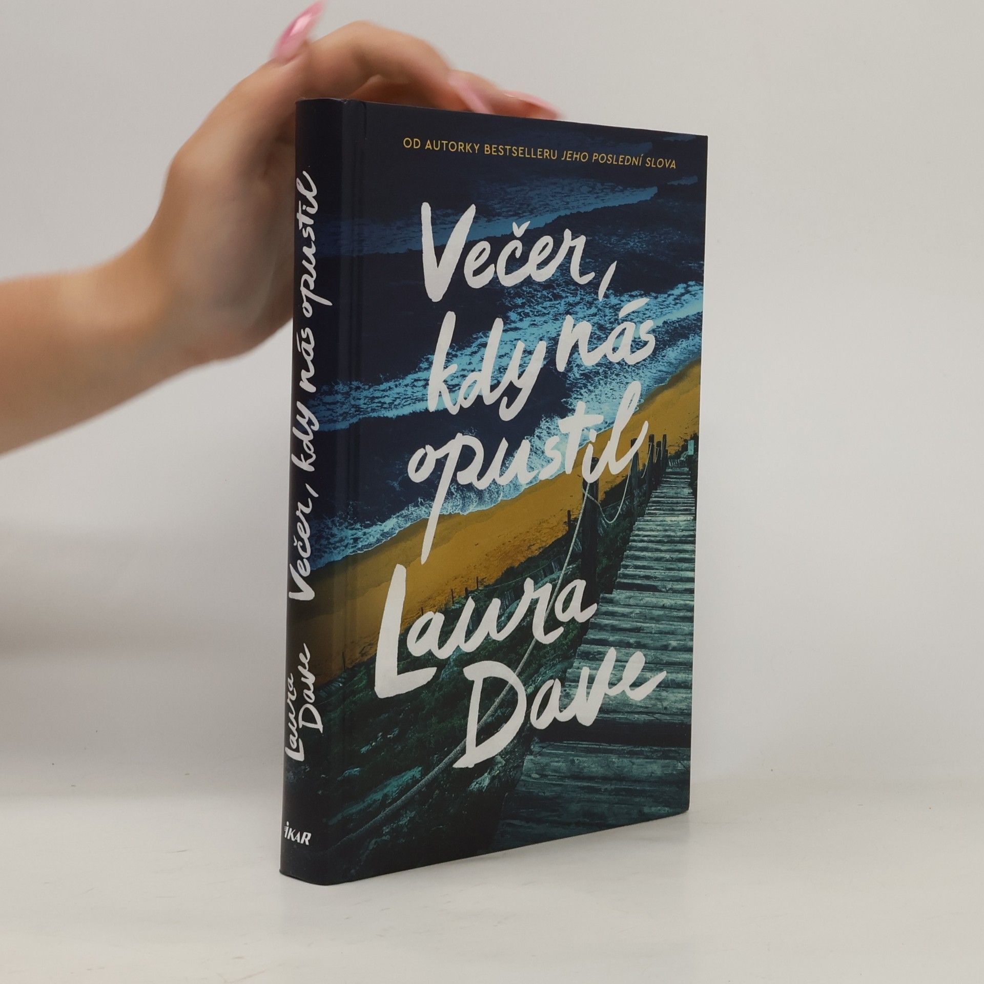 Laura Dave Večer, kdy nás opustil