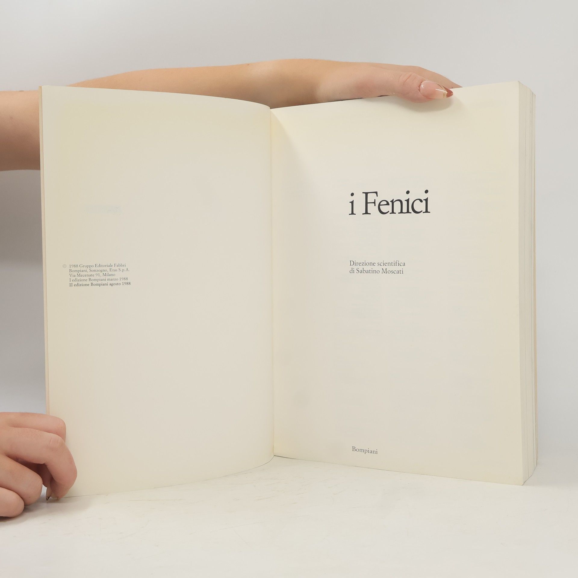 Auteurscollectief I Fenici