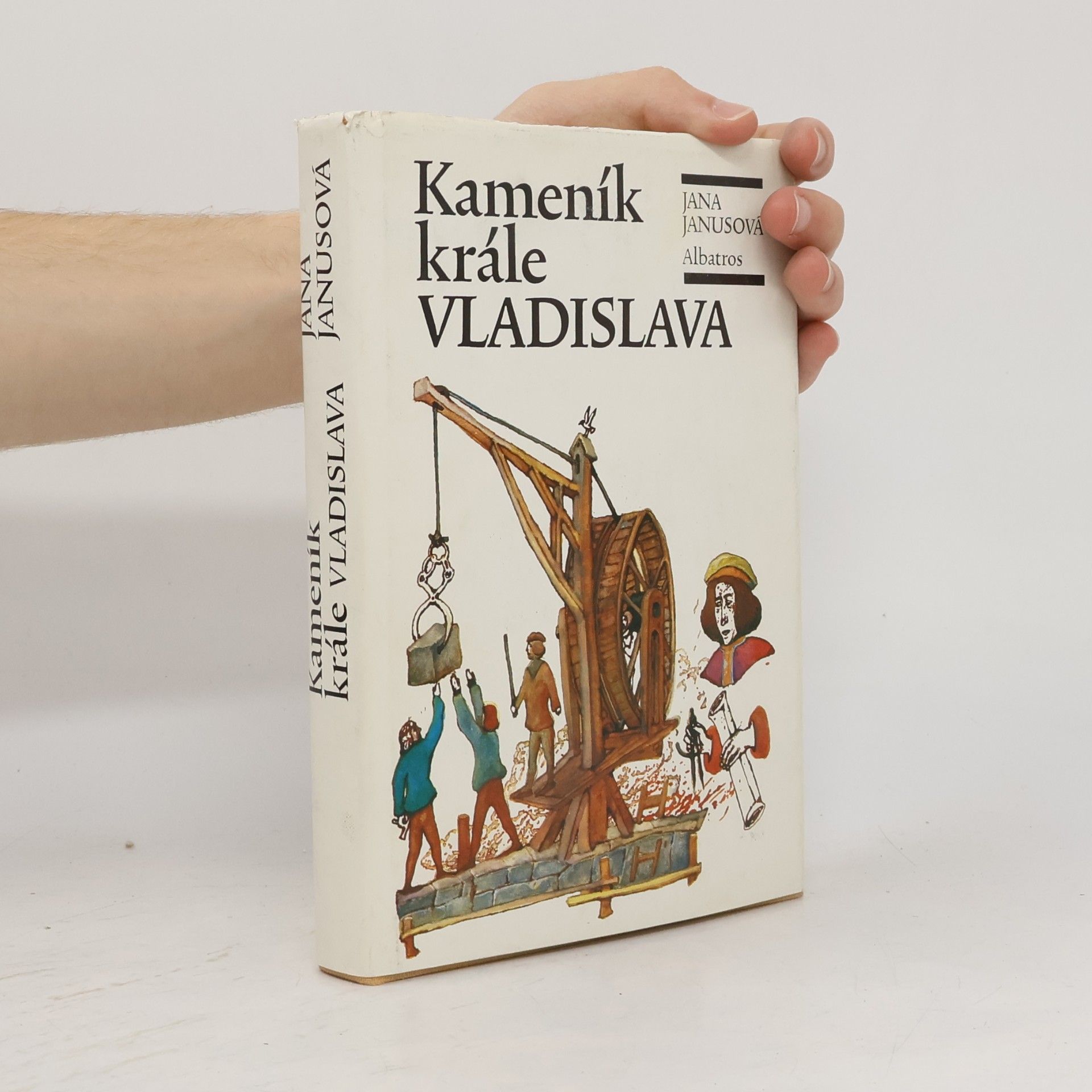 Jana Janusová Kameník krále Vladislava