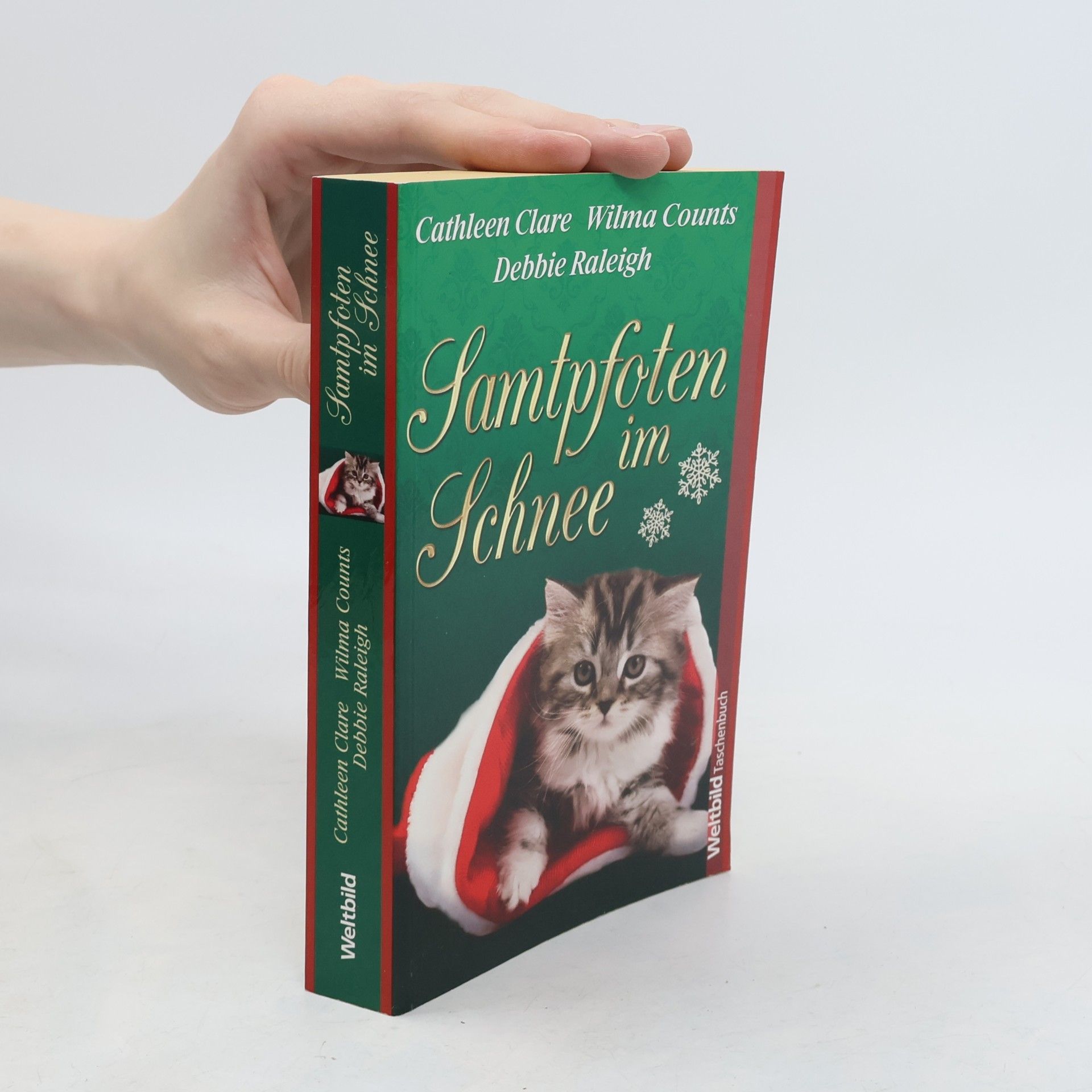 Cathleen Clare Samtpfoten im Schnee