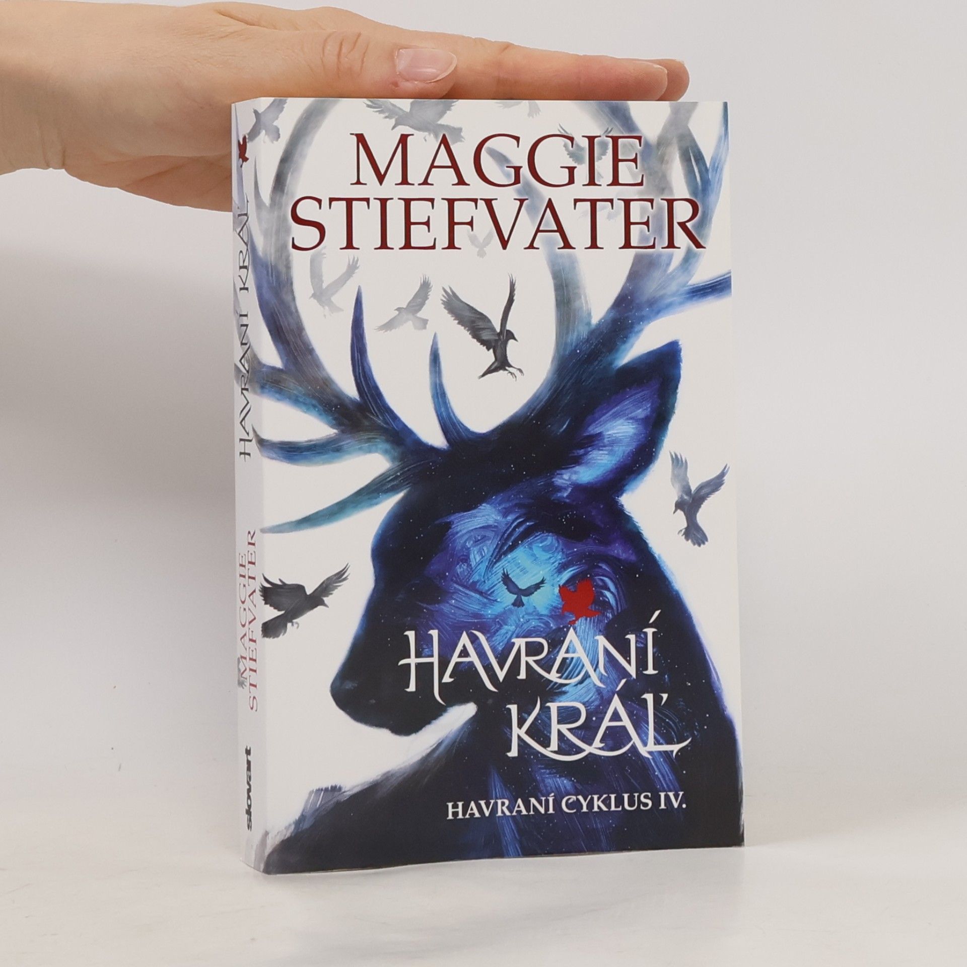 Maggie Stiefvater Havraní kráľ