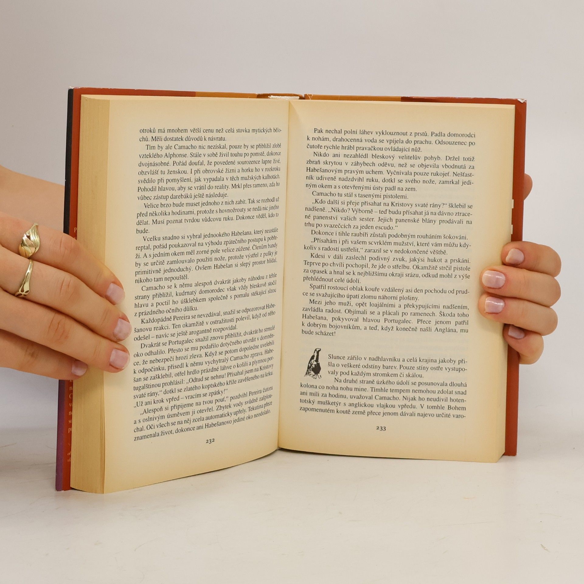 Wilbur Smith Říše kamenného sokola