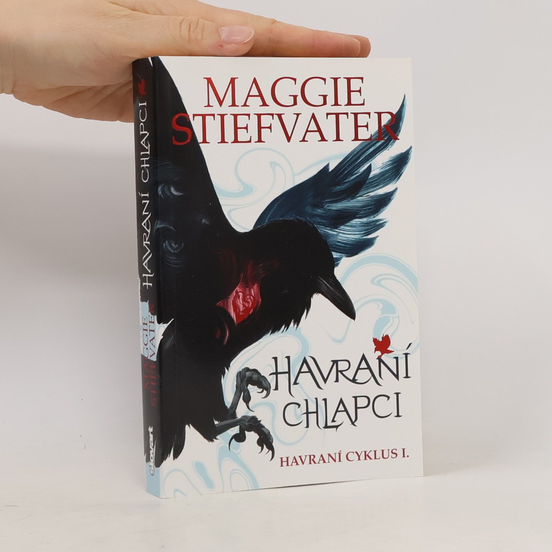 Maggie Stiefvater Havraní chlapci