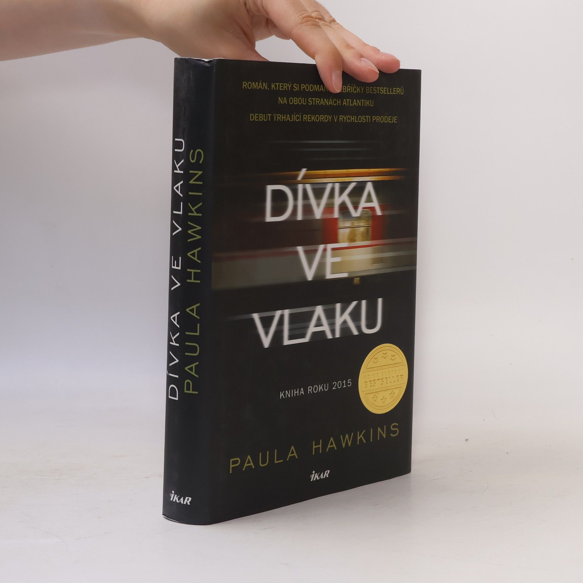 Dívka ve vlaku