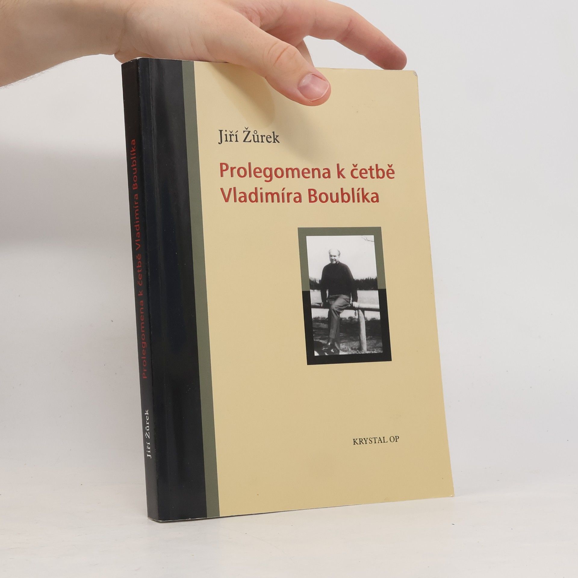 Jiří Žůrek Prolegomena k četbě Vladimíra Boublíka