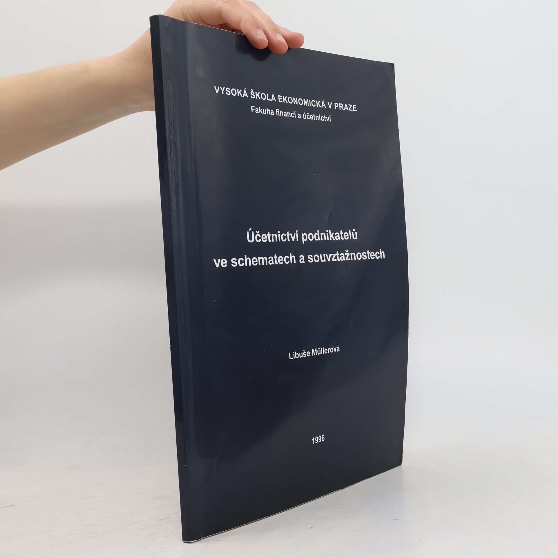 Účetnictví podnikatelů ve schematech a souvztažnostech