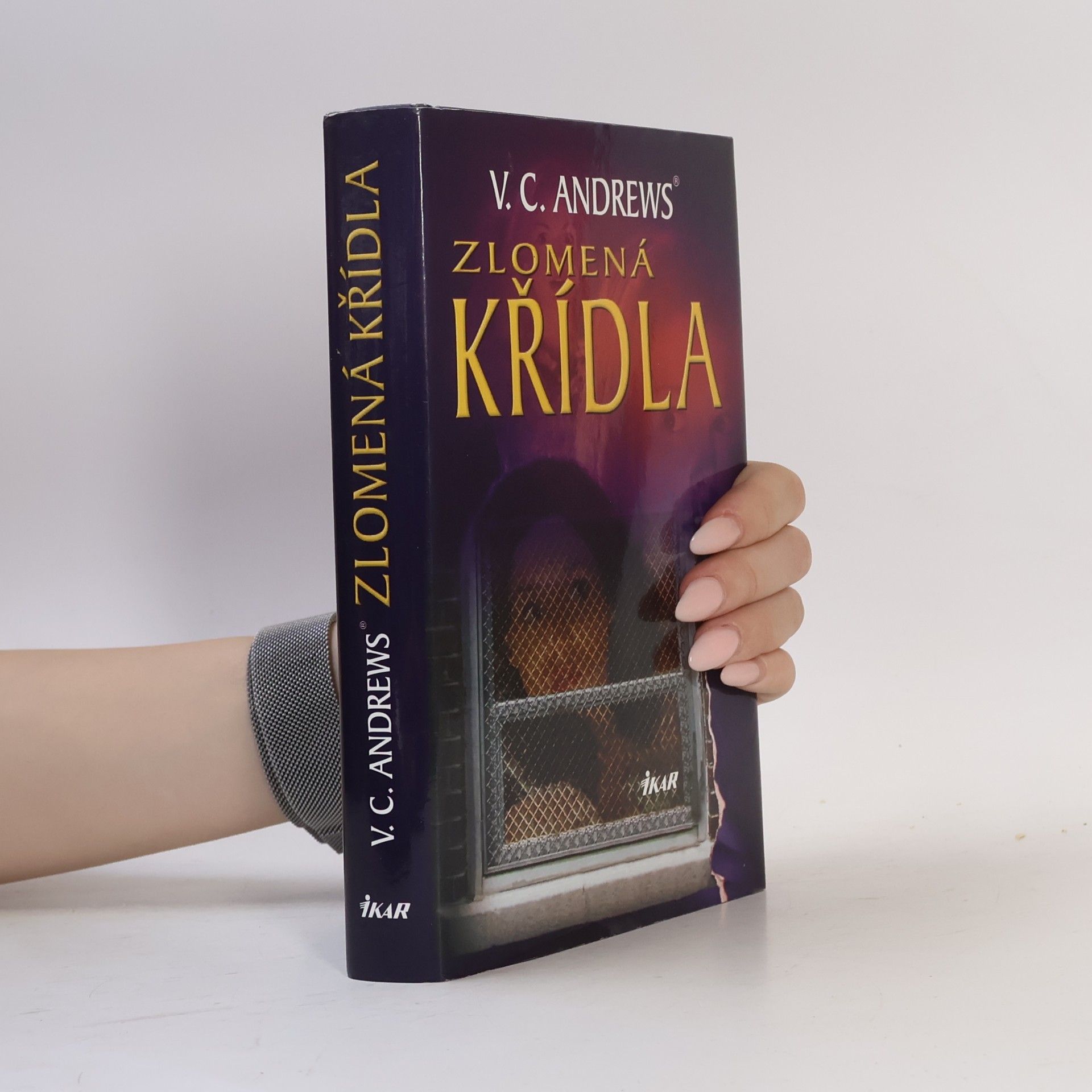 Virginia C. Andrewsová Zlomená křídla