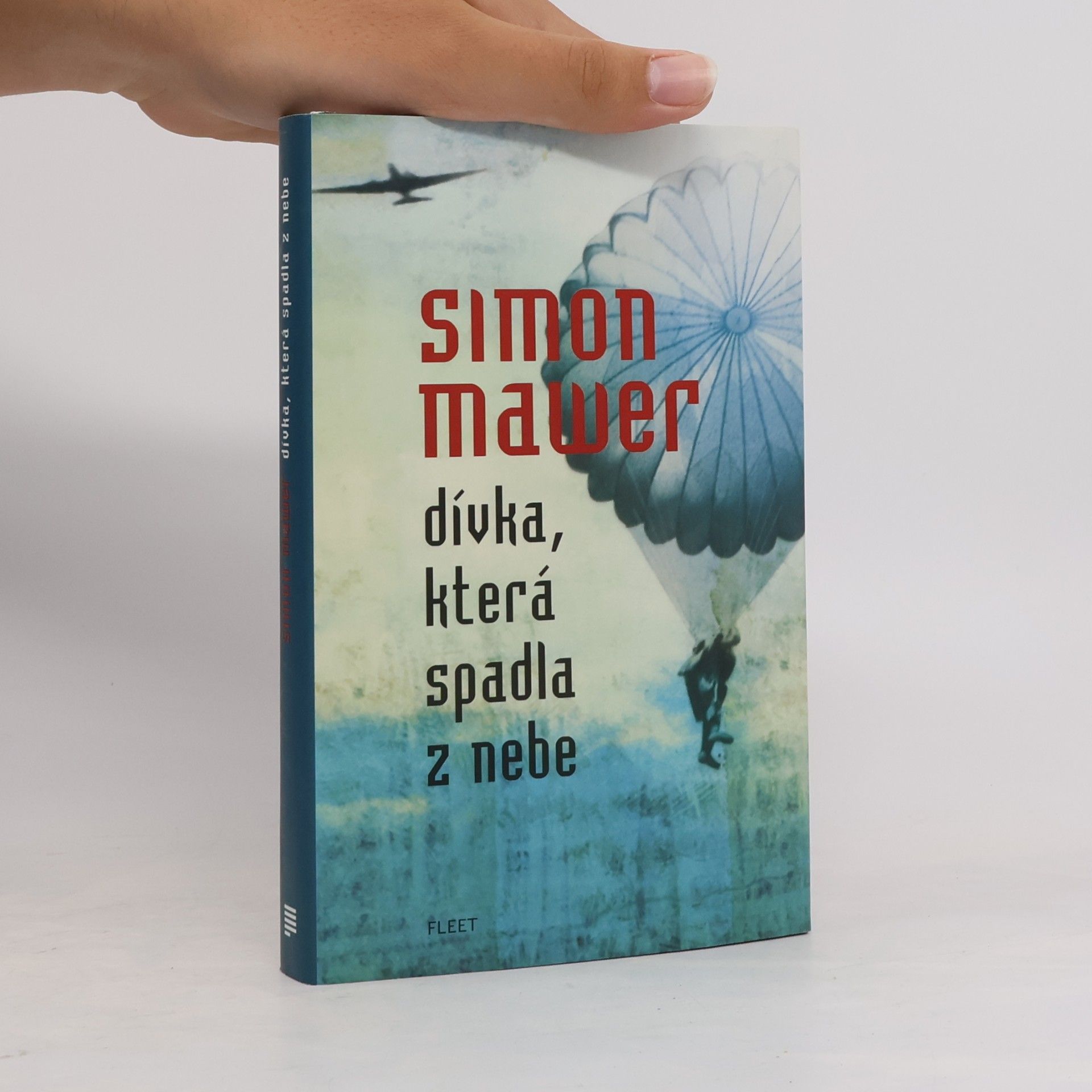 Simon Mawer Dívka, která spadla z nebe