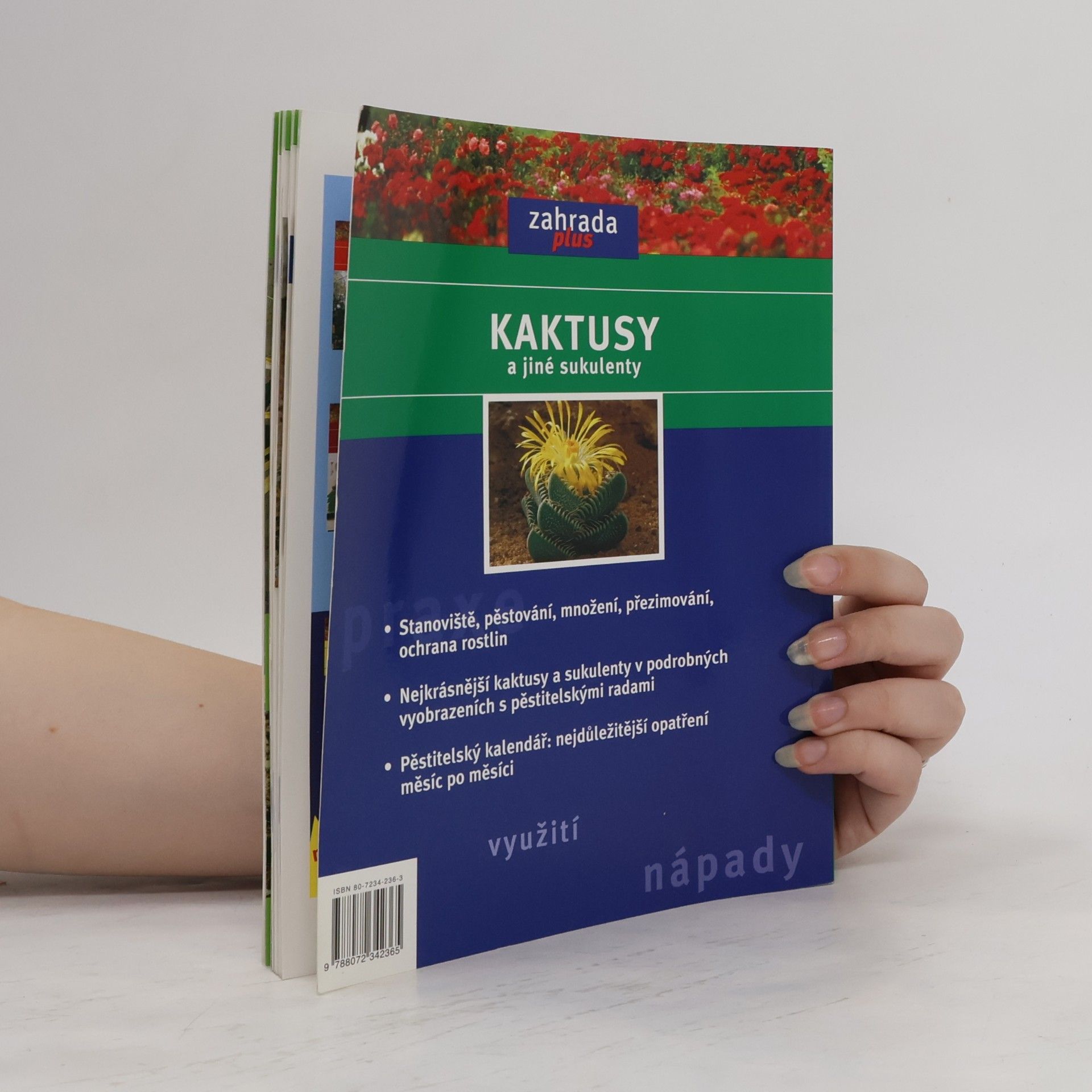 Elisabeth Manke Kaktusy a jiné sukulenty: Pěstování, přezimování, množení