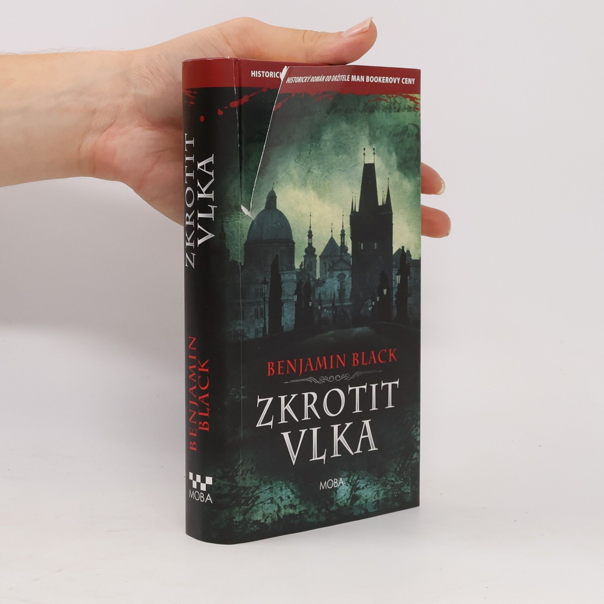 John Banville Zkrotit vlka
