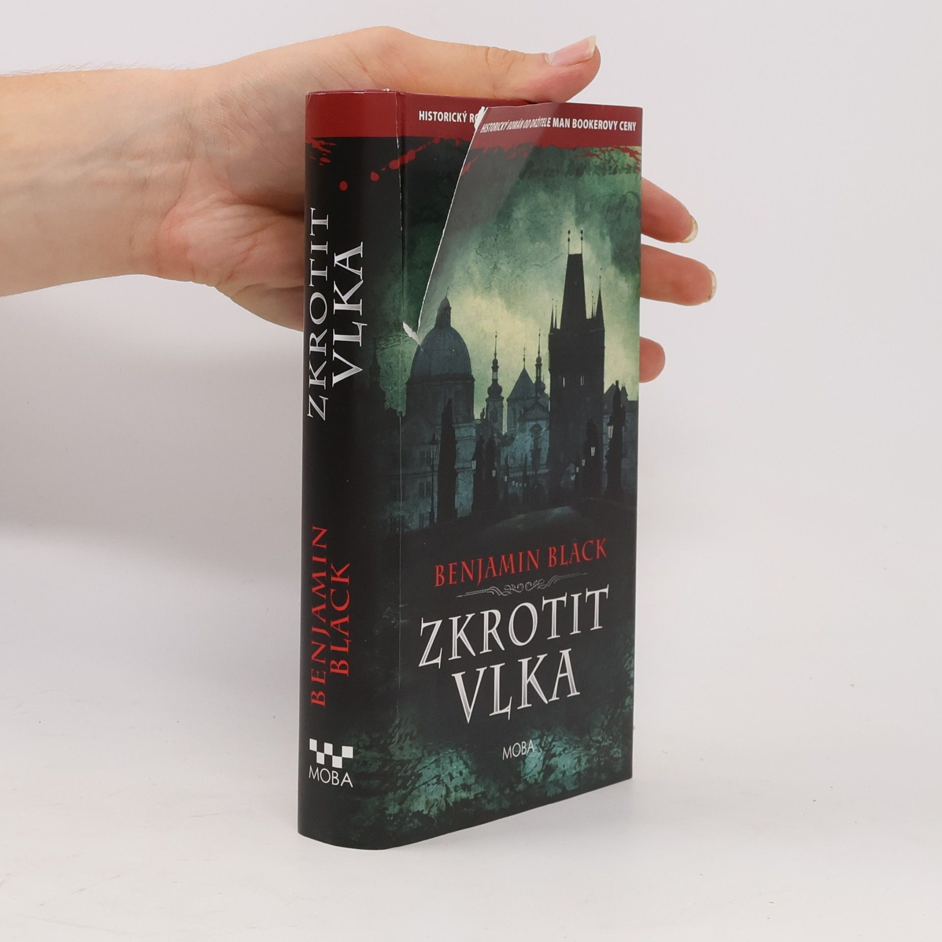 John Banville Zkrotit vlka