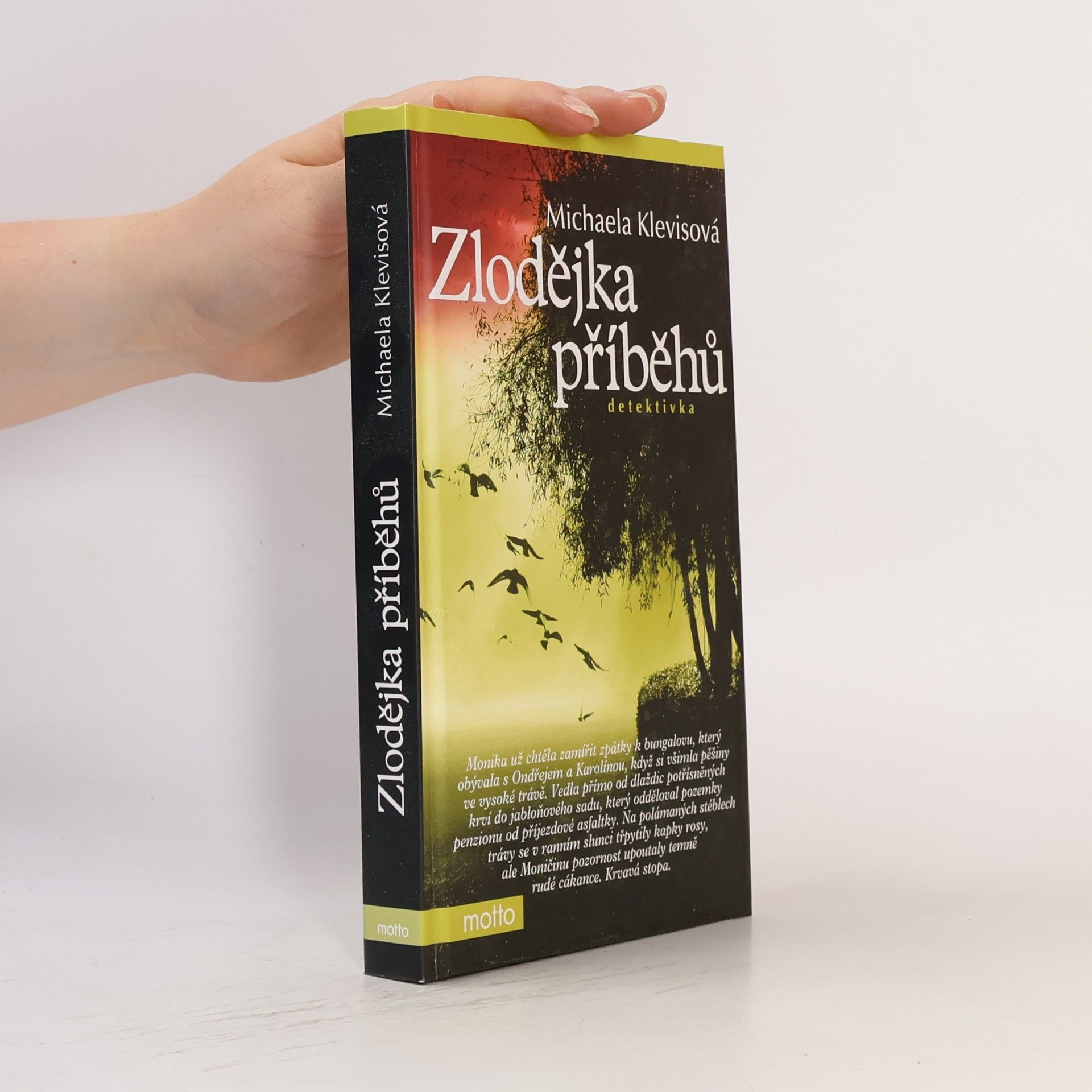 Michaela Klevisová Zlodějka příběhů