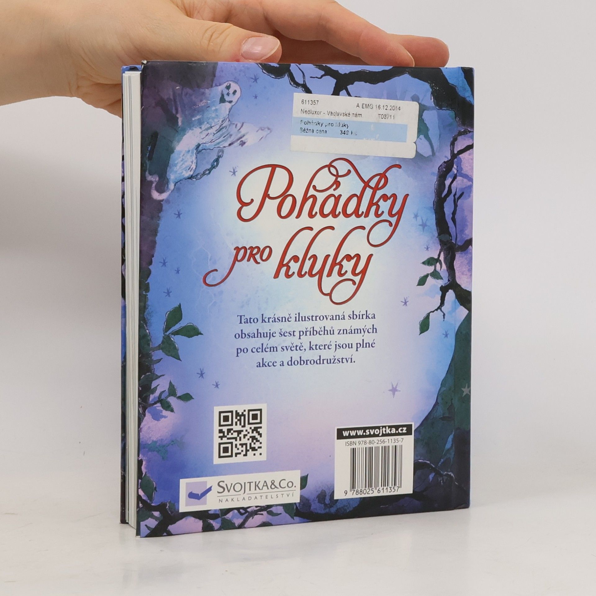 Autorenkollektiv Pohádky pro kluky
