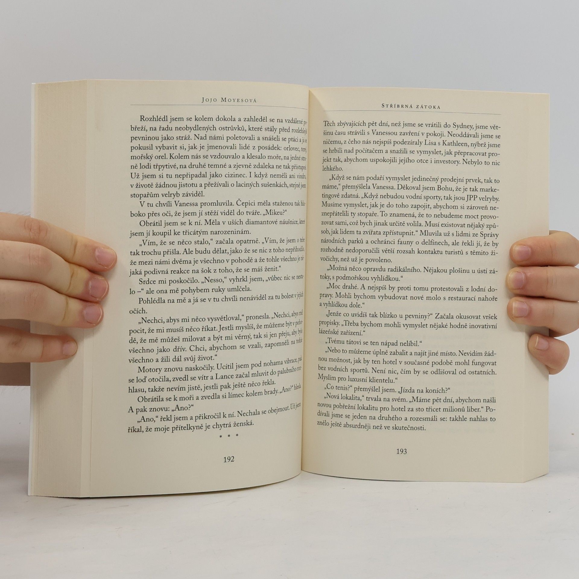 Jojo Moyes Stříbrná zátoka