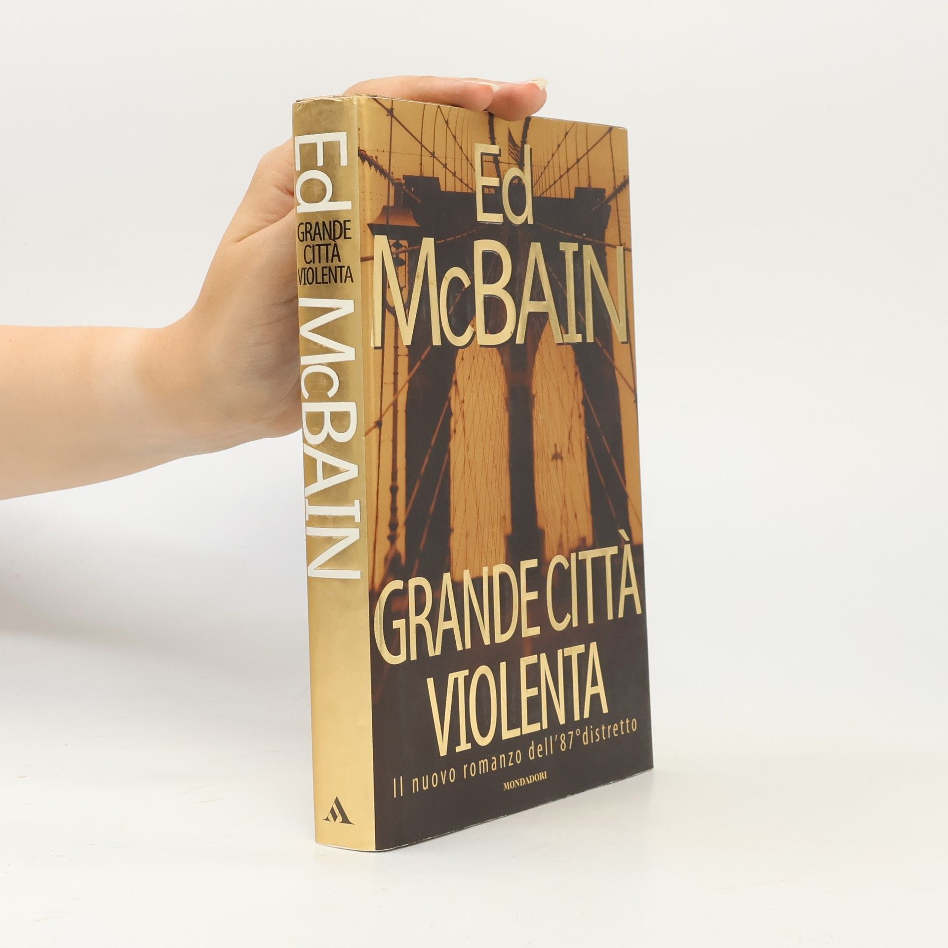 Nicoletta Lamberti Grande città violenta