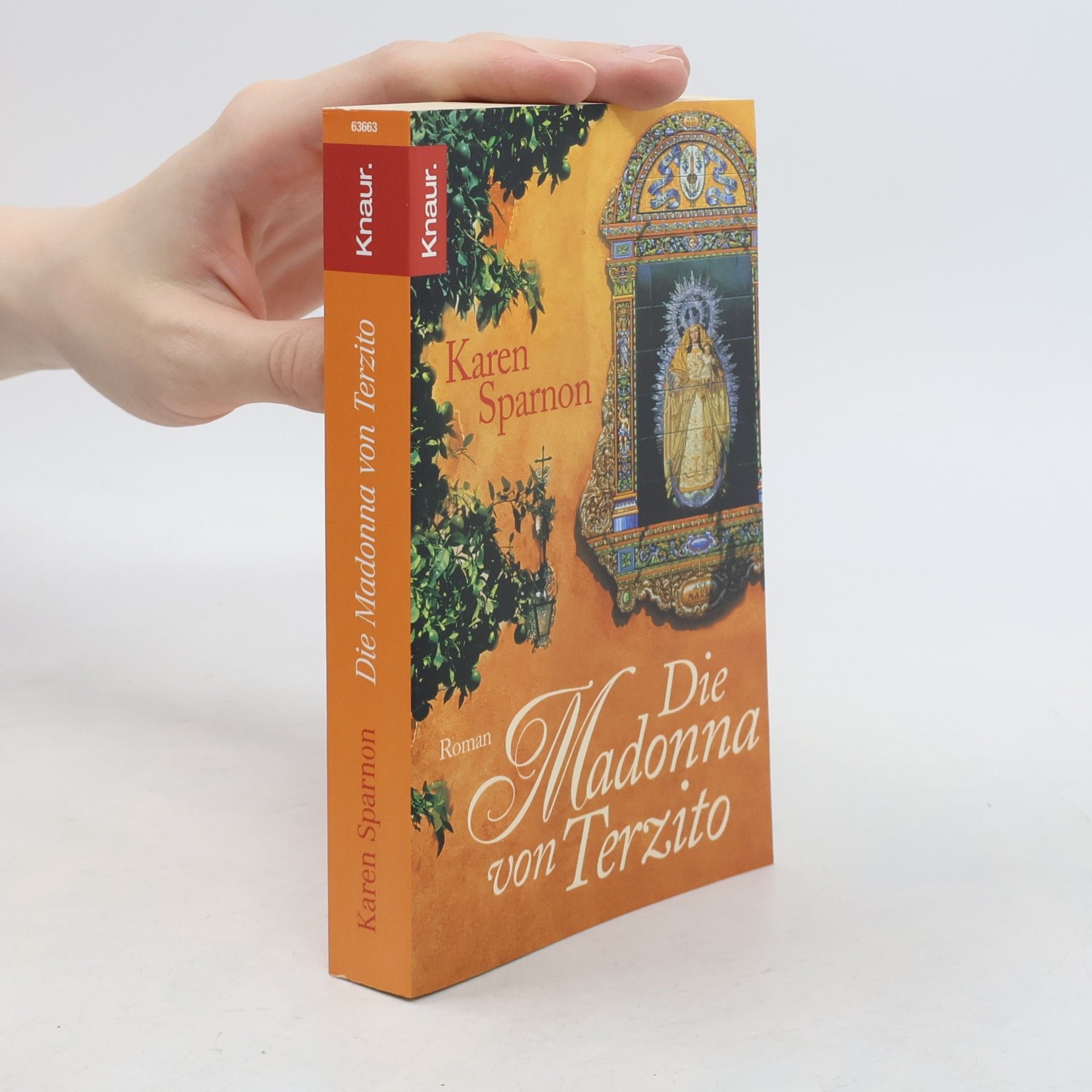 Karen Sparnon Die Madonna von Terzito
