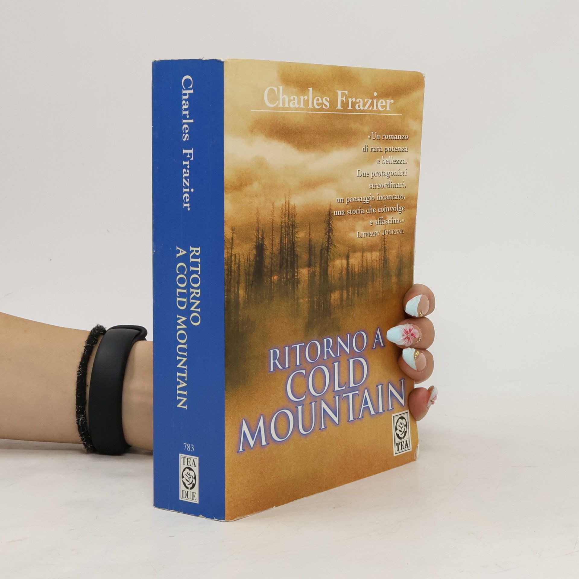 Charles Frazier Teadue - 783: Ritorno a Cold Mountain