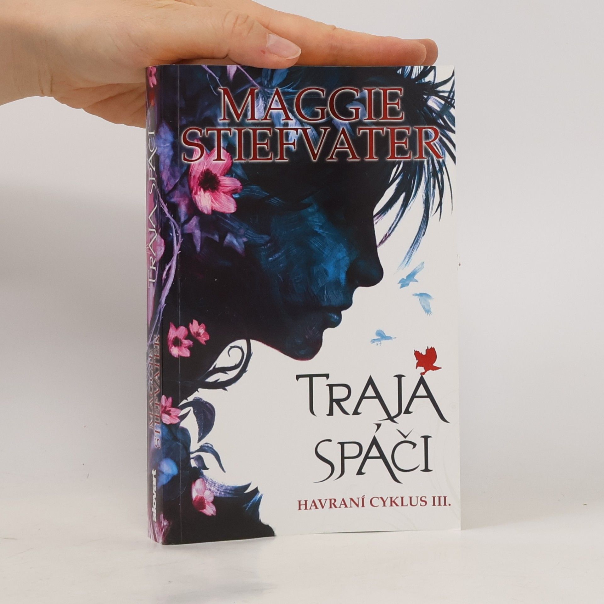 Maggie Stiefvater Traja spáči