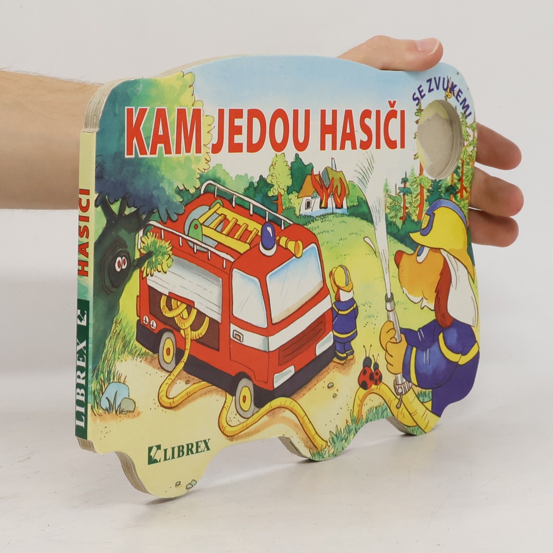 Eva Lenartová Kam jedou hasiči
