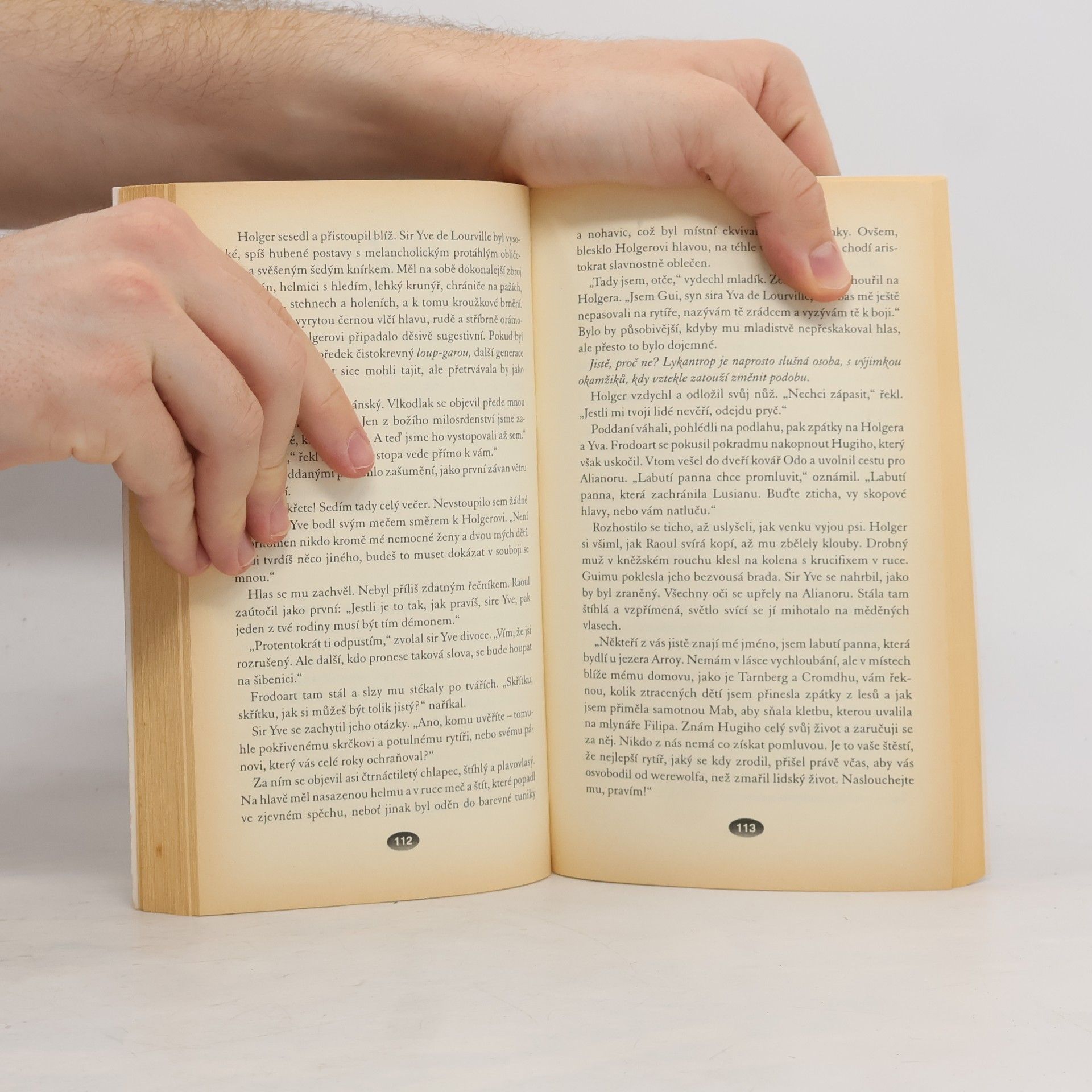 Poul Anderson Tři srdce, tři lvi
