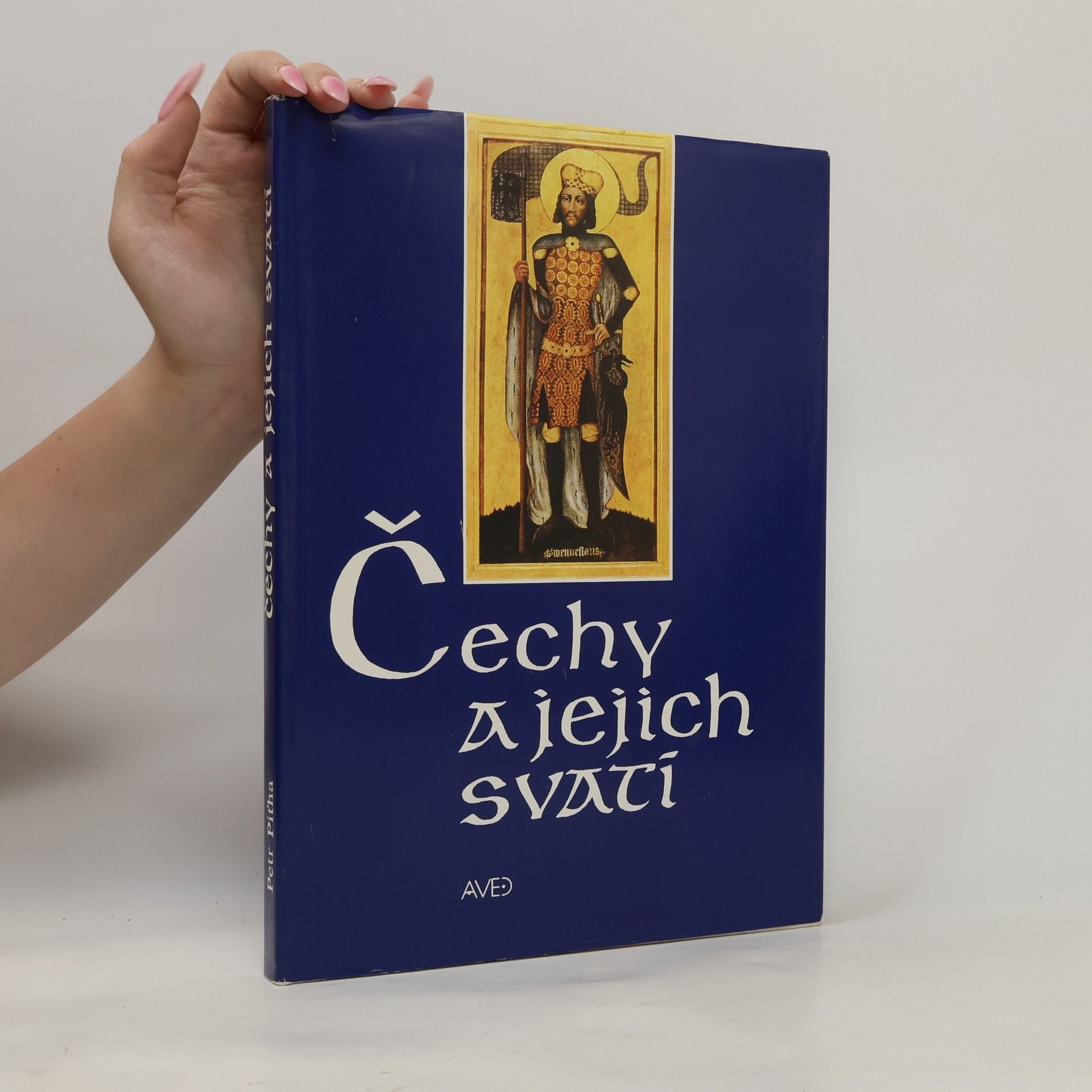 Petr Piťha Čechy a jejich svatí