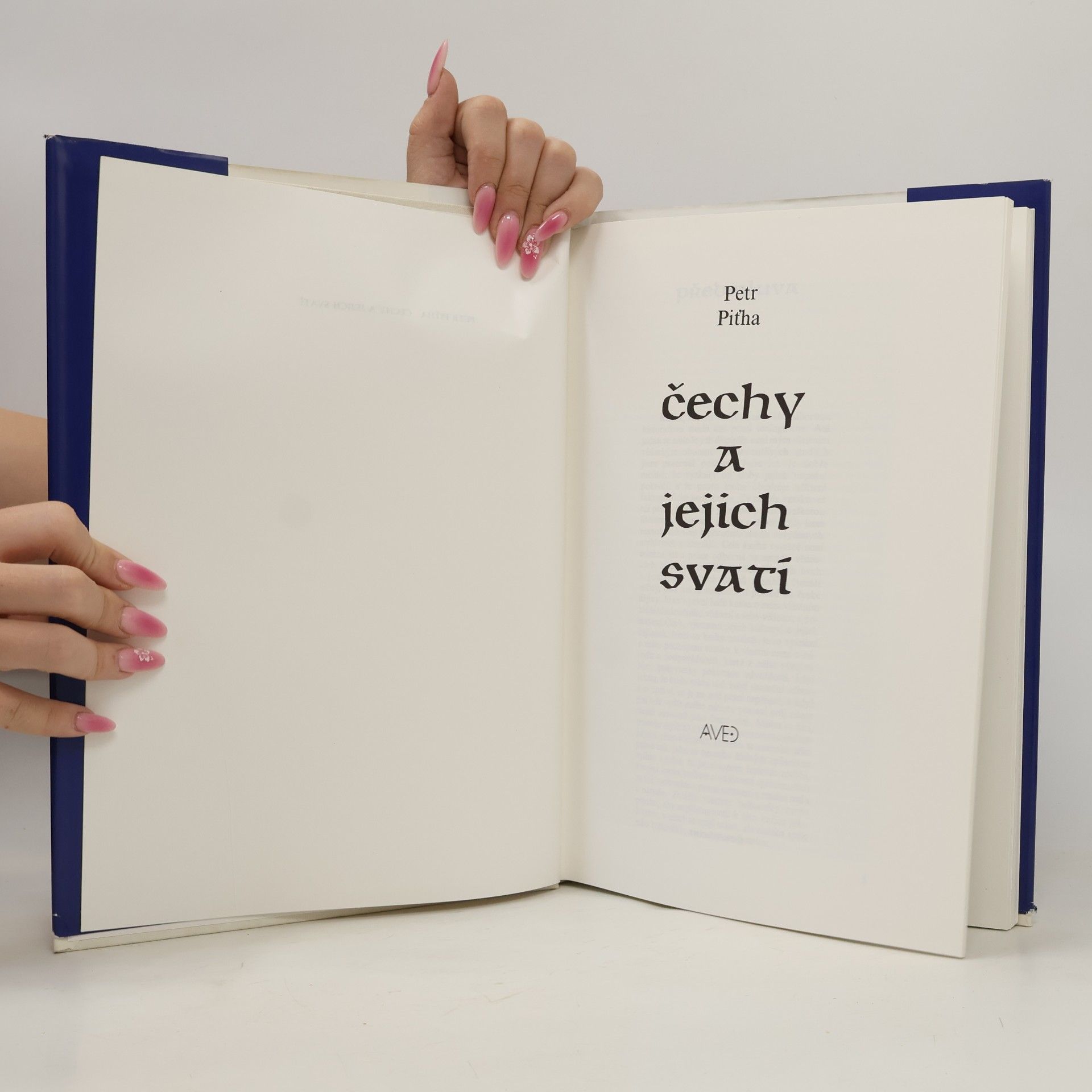 Petr Piťha Čechy a jejich svatí