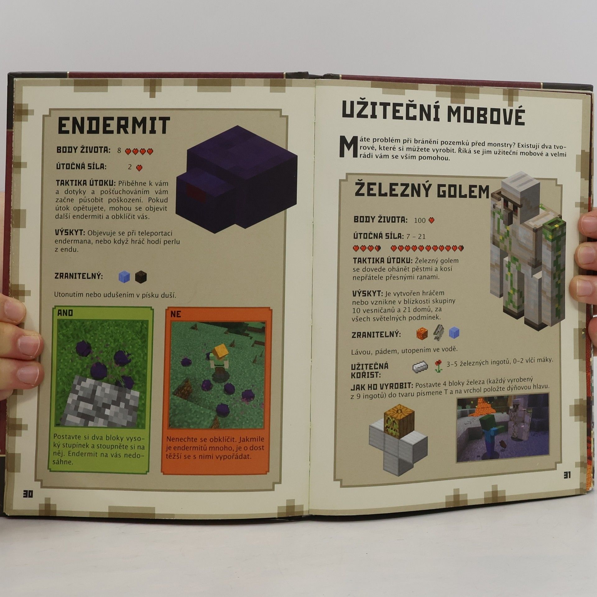 Matyáš Theodor Frydrych Minecraft: Bojová příručka