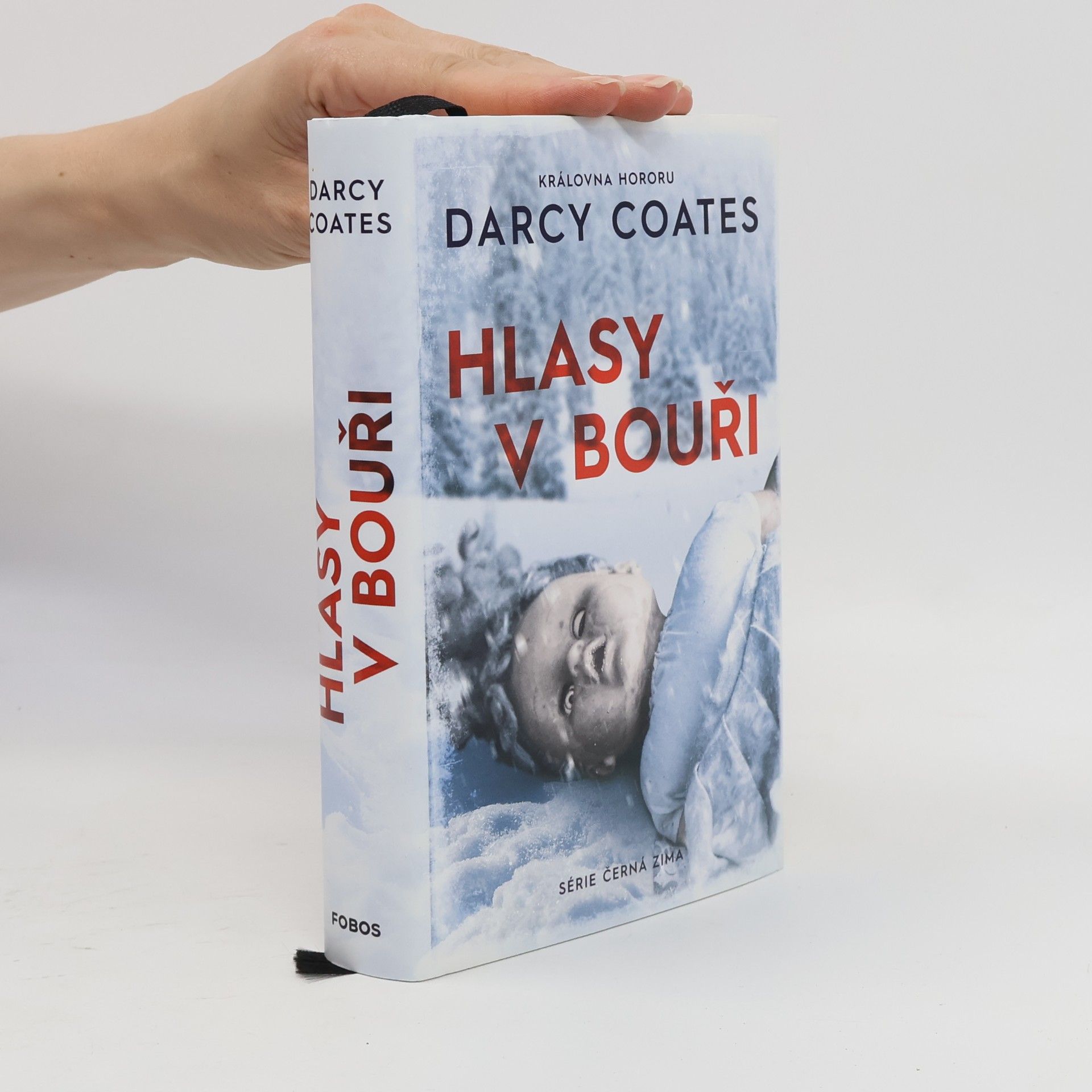 Darcy Coates Hlasy v bouři
