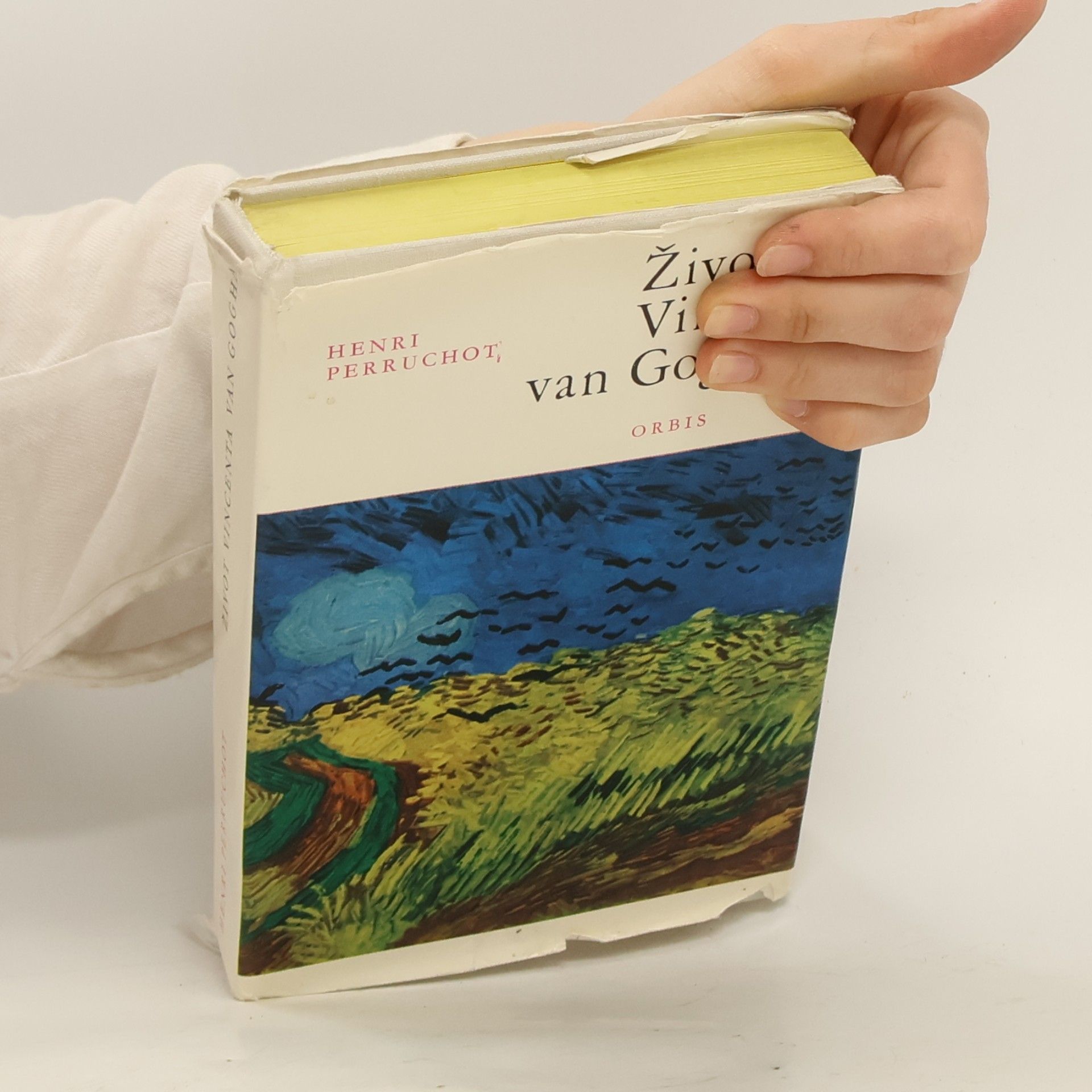 Henri Perruchot Život Vincenta van Gogha