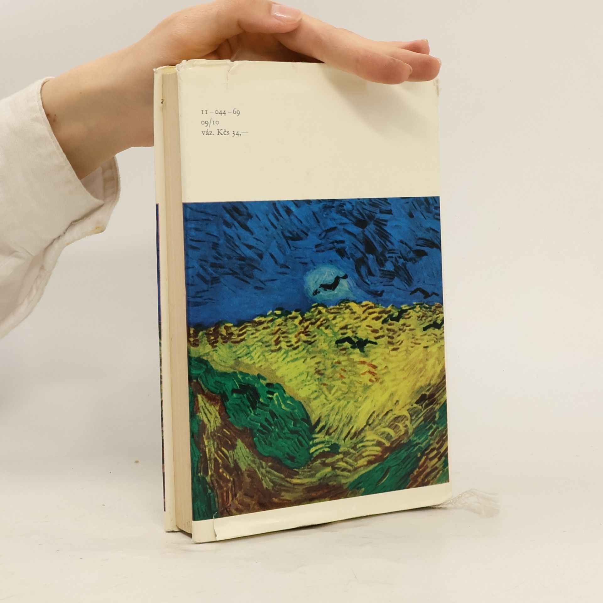 Henri Perruchot Život Vincenta van Gogha