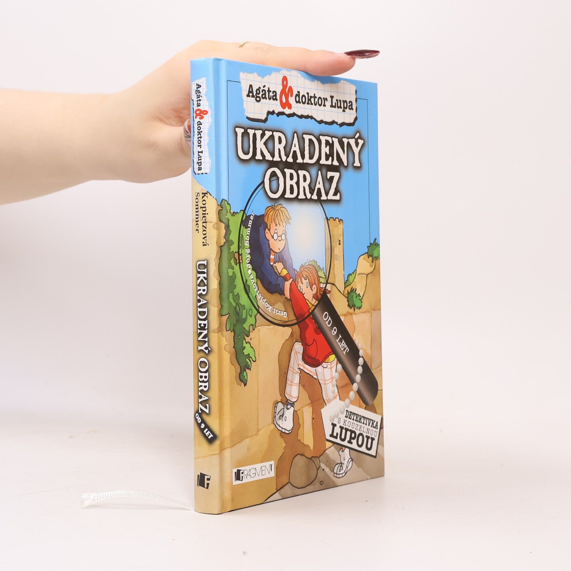 Jörg Sommer Ukradený obraz