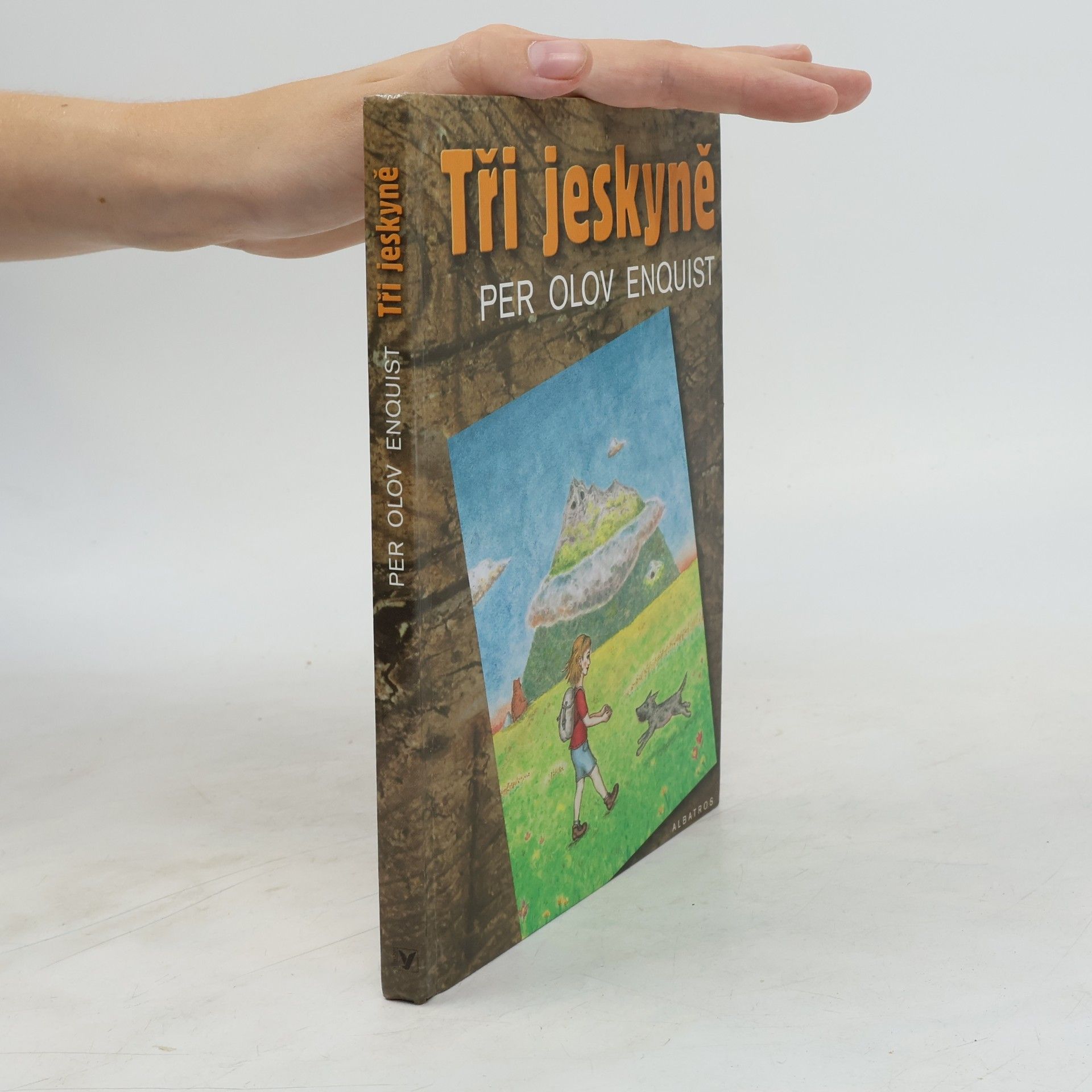 Per Olov Enquist Tři jeskyně