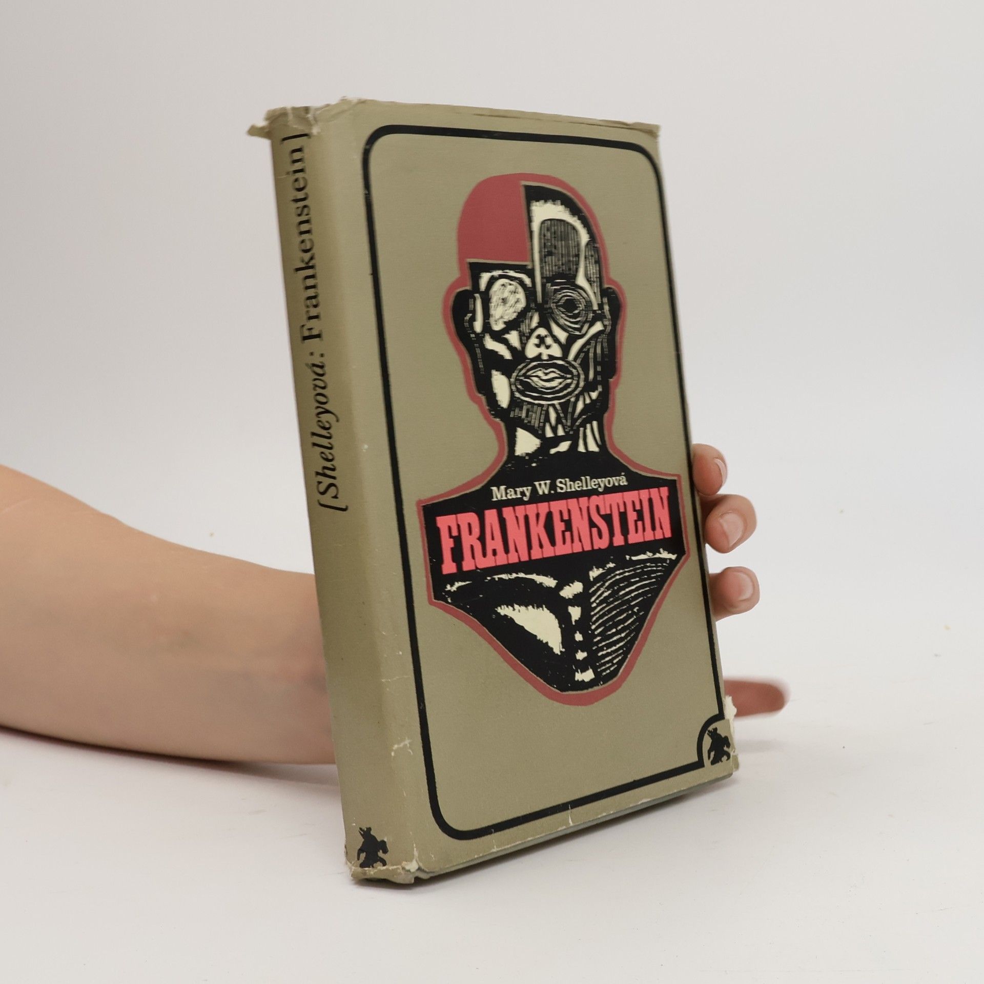 Mary Shelley Frankenstein