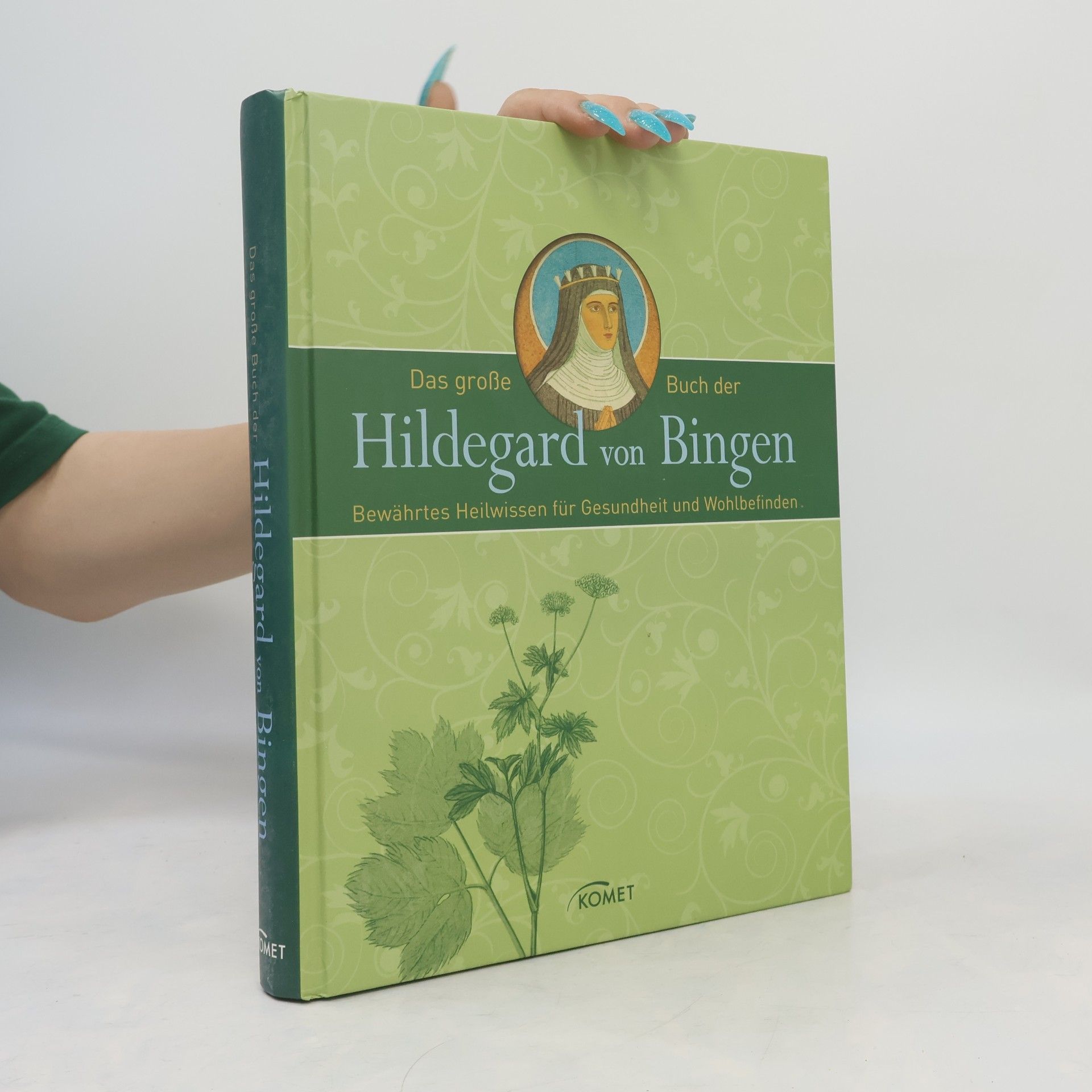 Hildegarda z Bingenu (svatá) Das große Buch der Hildegard von Bingen