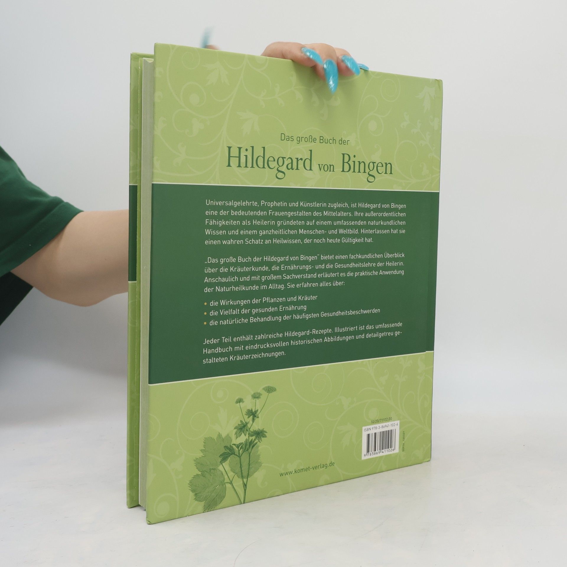 Hildegard of Bingen Das große Buch der Hildegard von Bingen