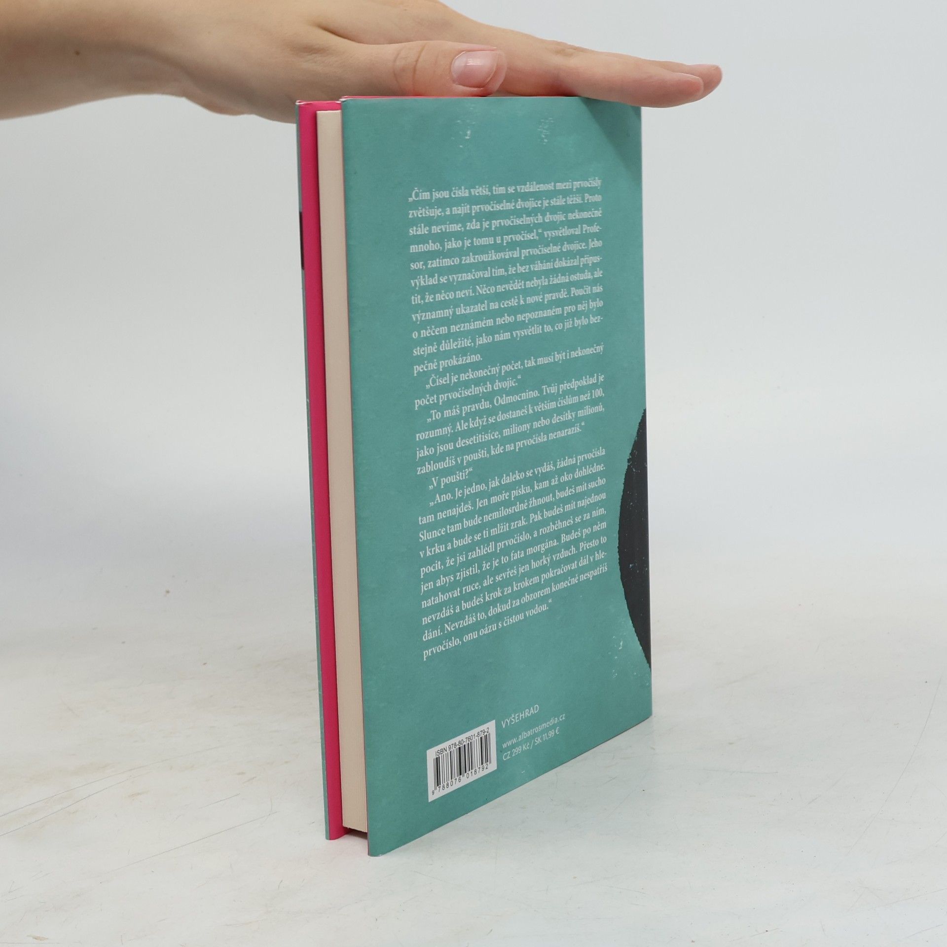 Martin Tirala Profesorova milovaná rovnice