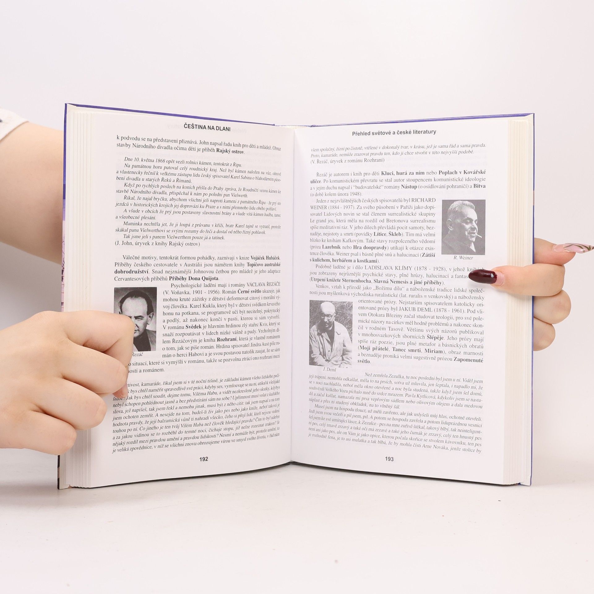Alois Bauer Čeština na dlani. Přehled světové a české literatury
