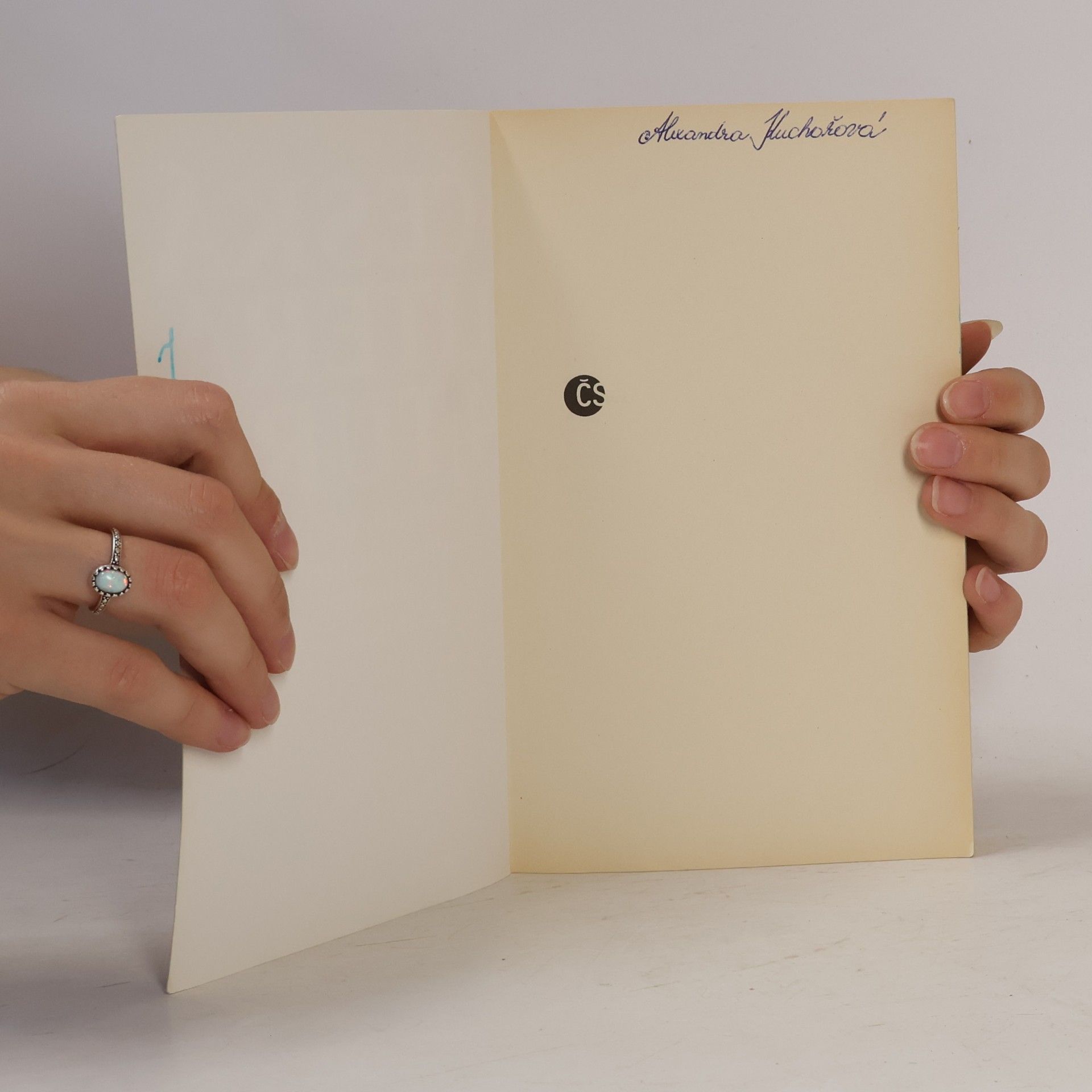 Jiří Holý Česká literatura 4. Od roku 1945 do současnosti.