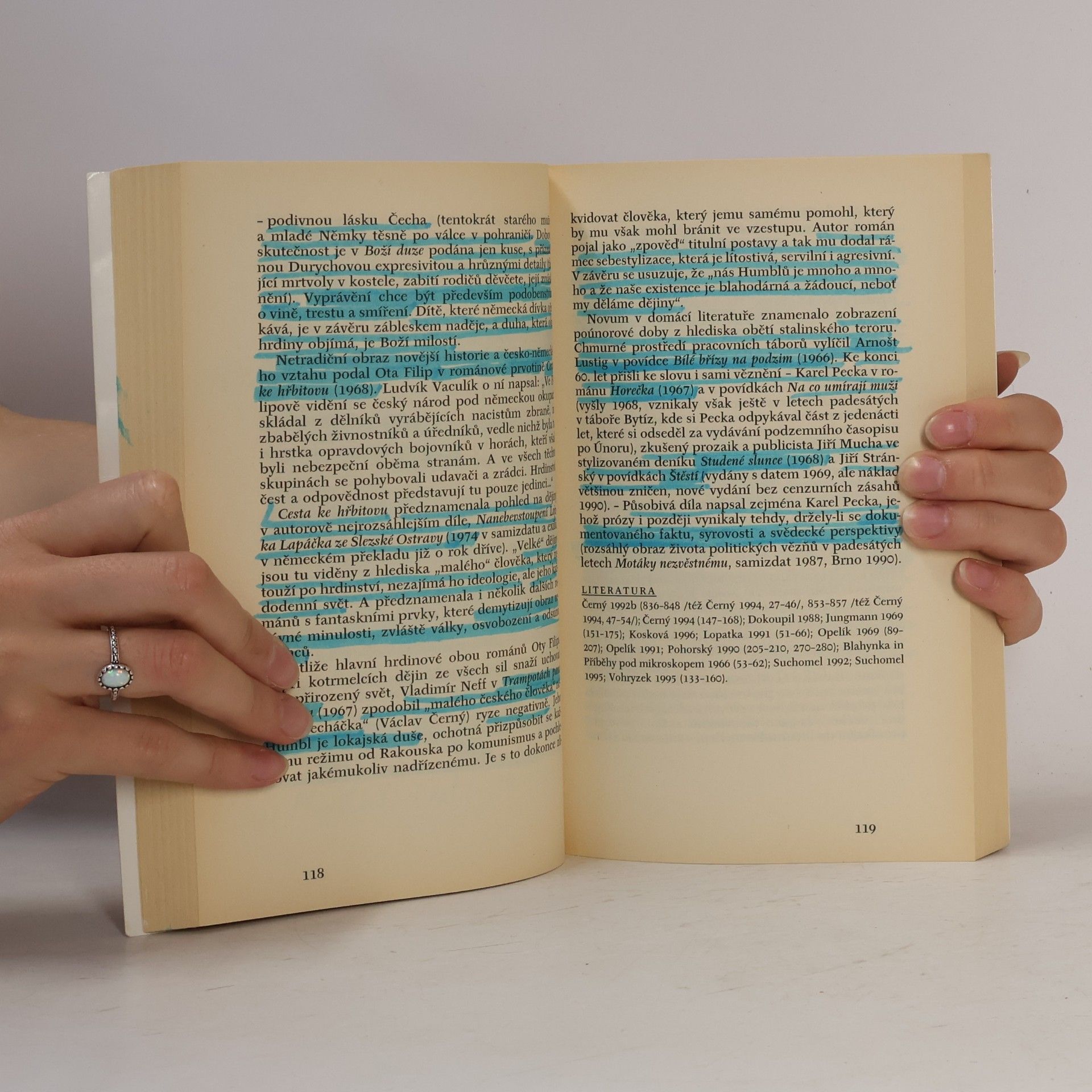 Jiří Holý Česká literatura 4. Od roku 1945 do současnosti.